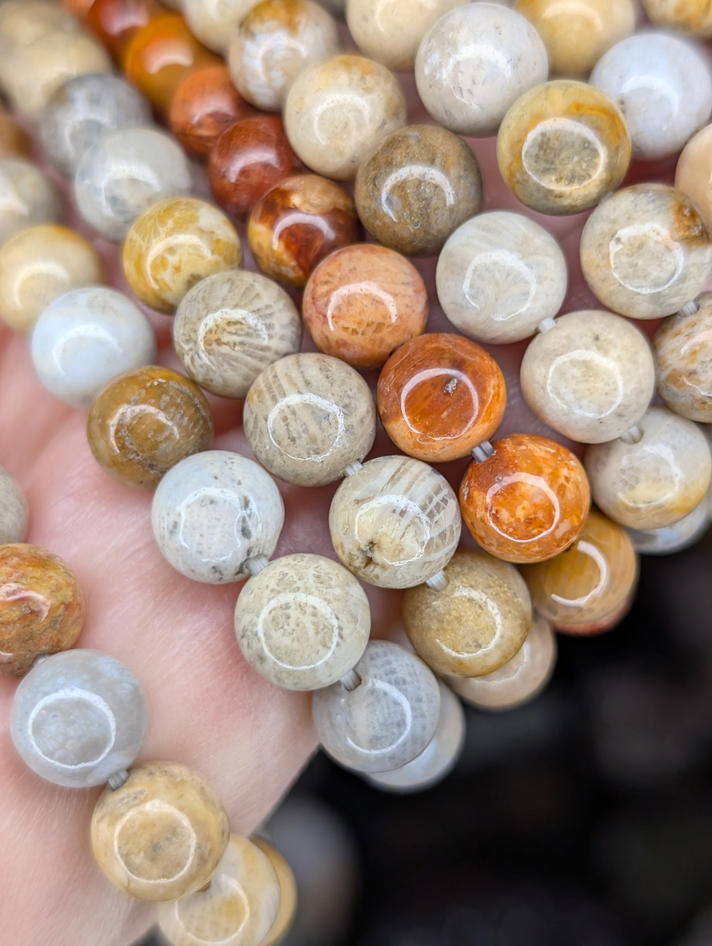 Fossil Coral 8mm Bead Bracelet