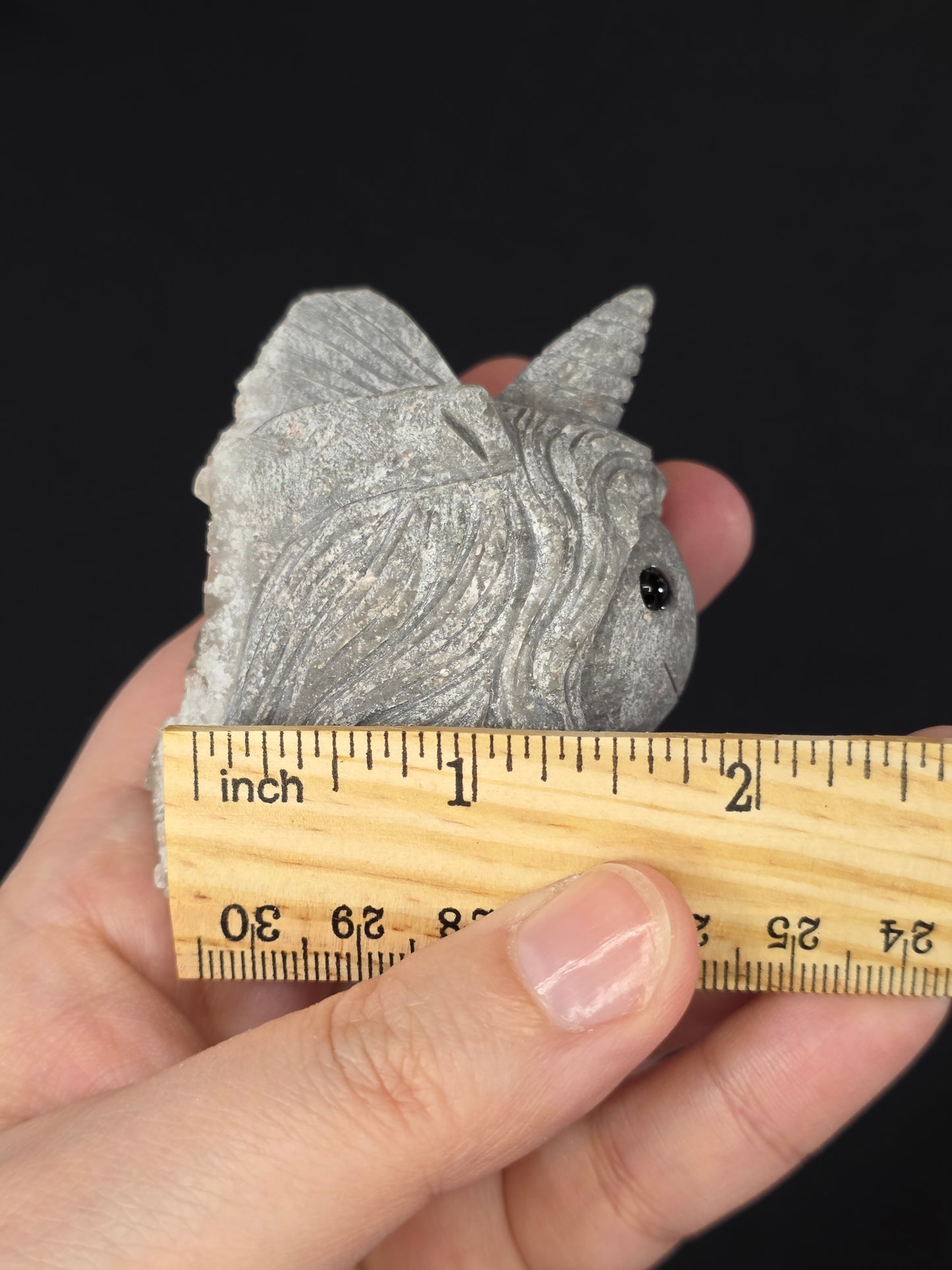 Pet Rock Unicorn Carving