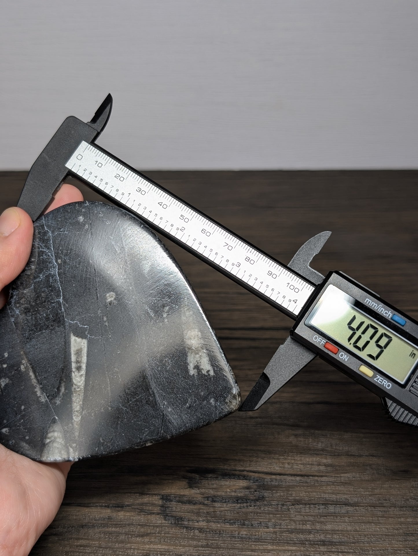 Orthoseras Heart Slab