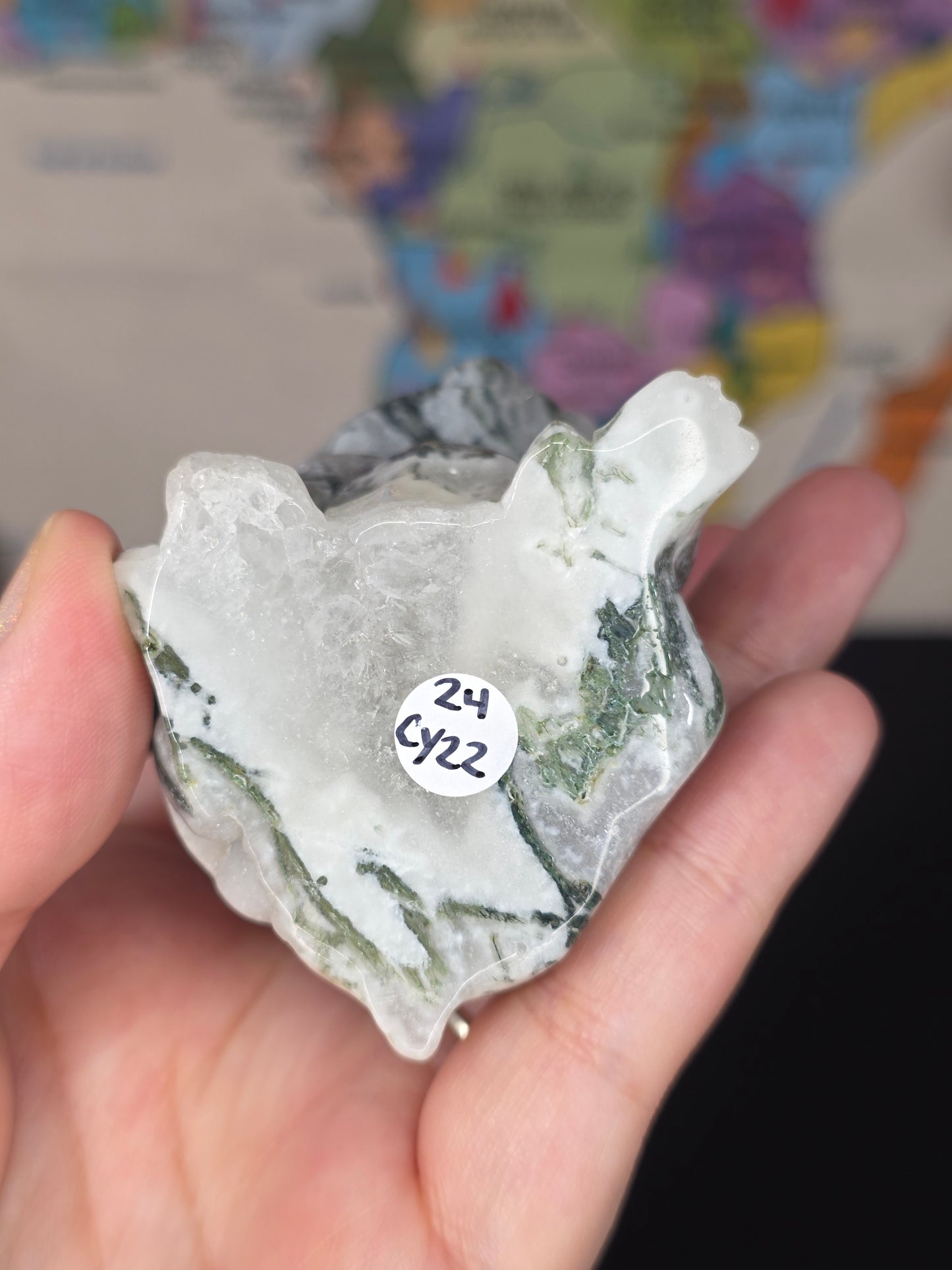 Druzy Moss Agate Frenchie Carving