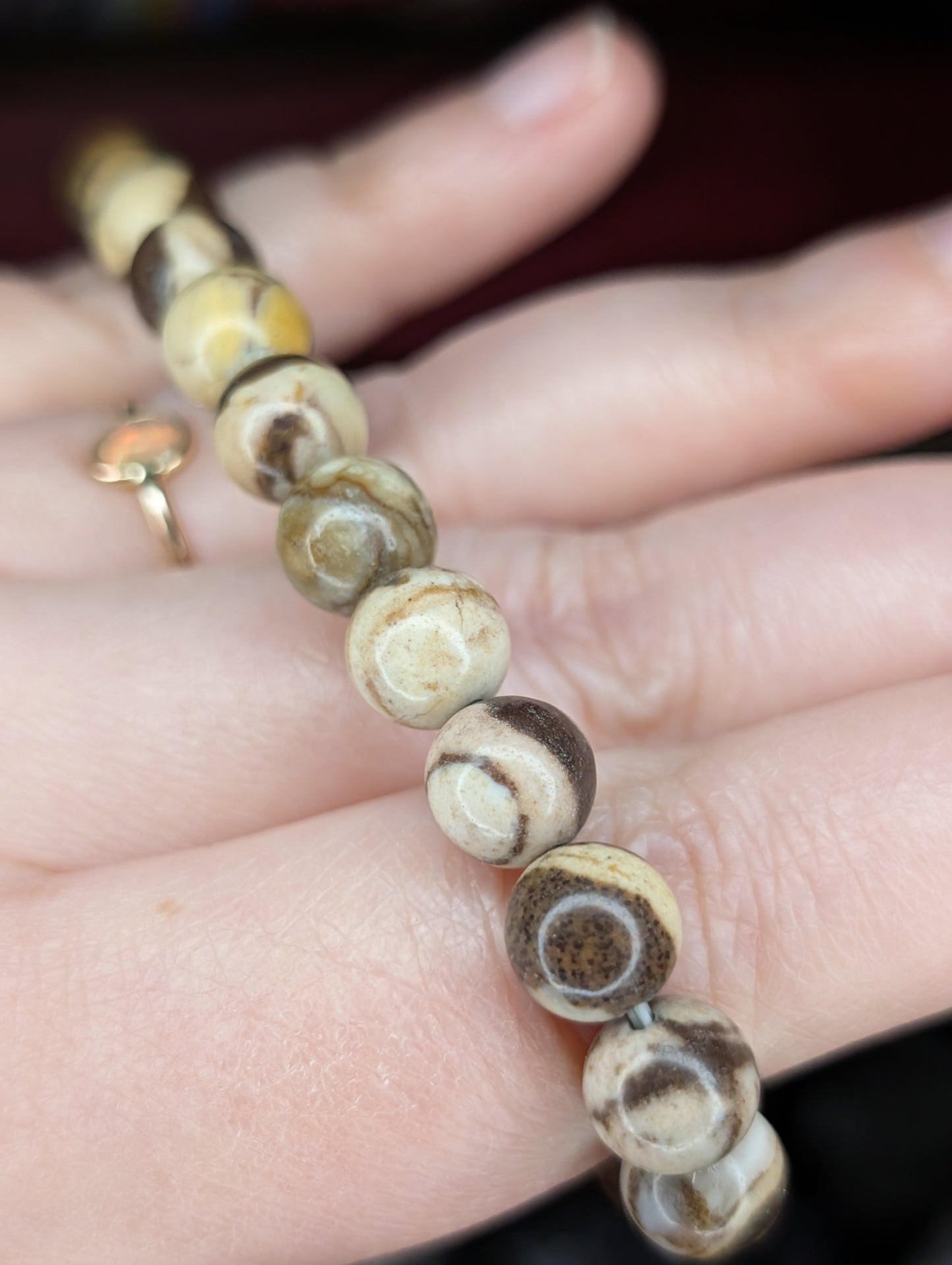 Brown Zebra Jasper 8mm Bead Bracelet