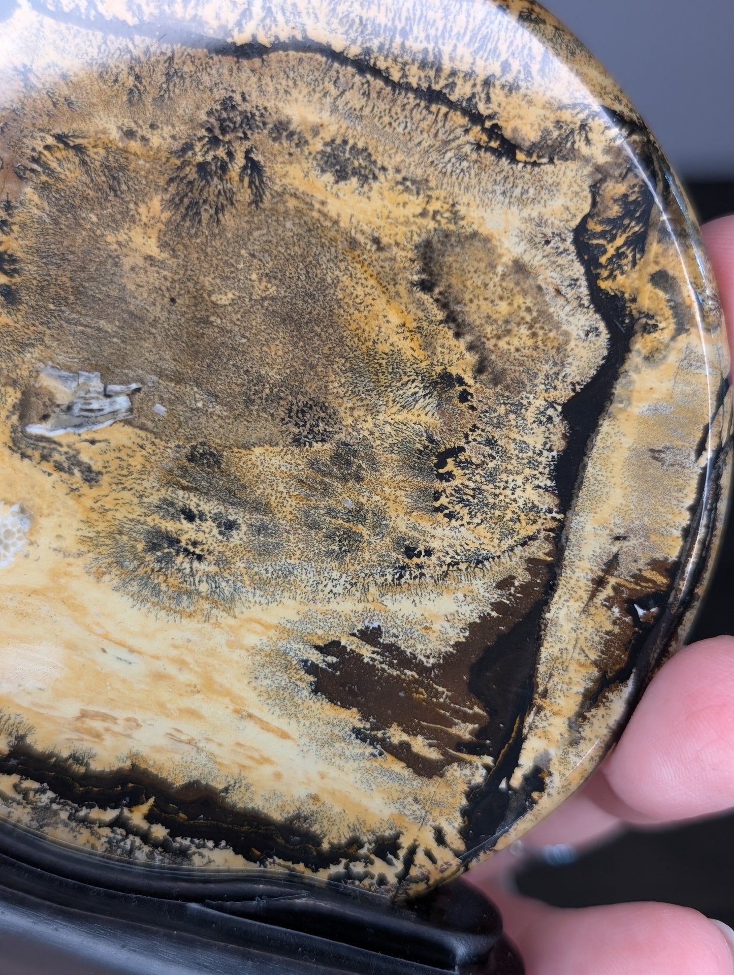 Picture Jasper Slab with Wooden Base
