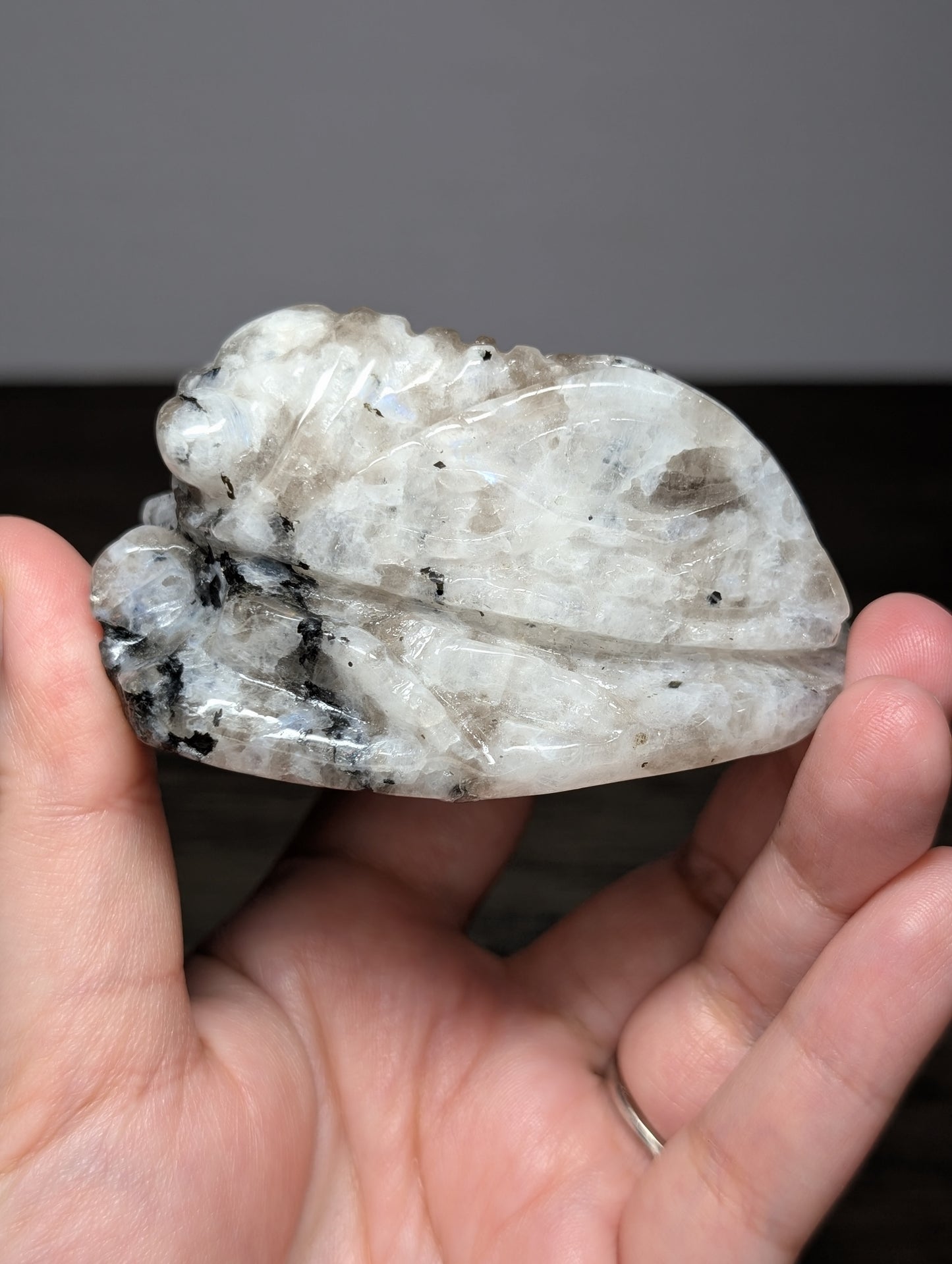 Rainbow Moonstone Cicada Carving