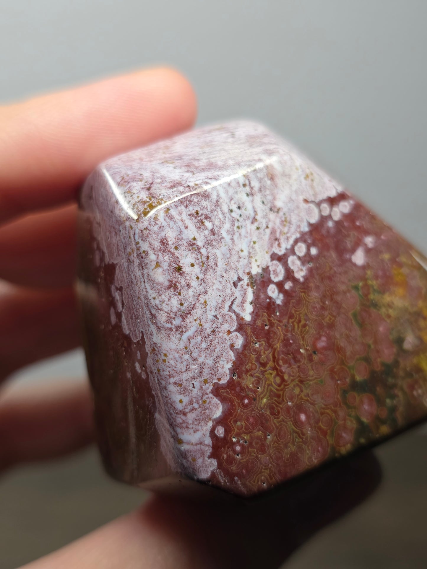 Orbicular Jasper Freeform