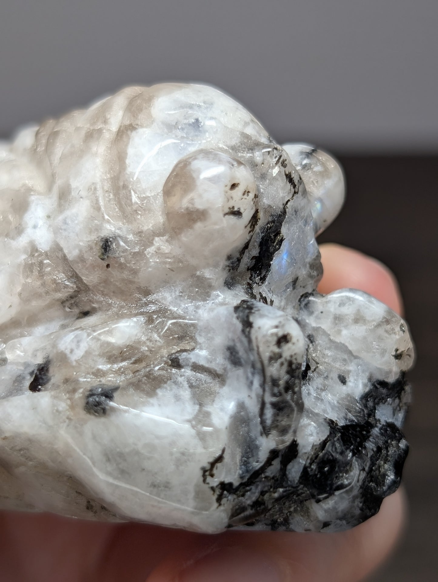 Rainbow Moonstone Cicada Carving