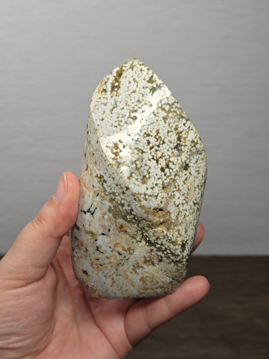 Orbicular Jasper Flame