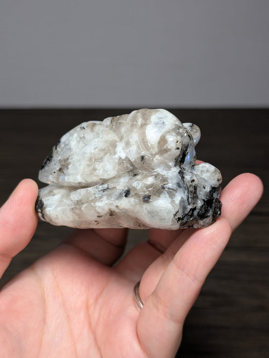 Rainbow Moonstone Cicada Carving