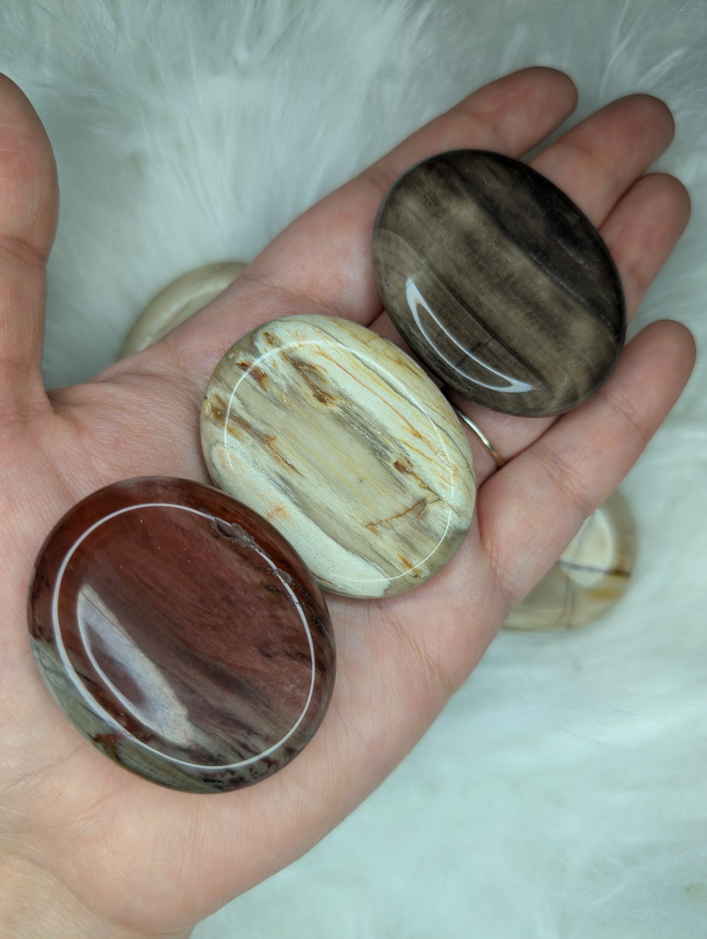 Petrified Wood Worry Stone AR39