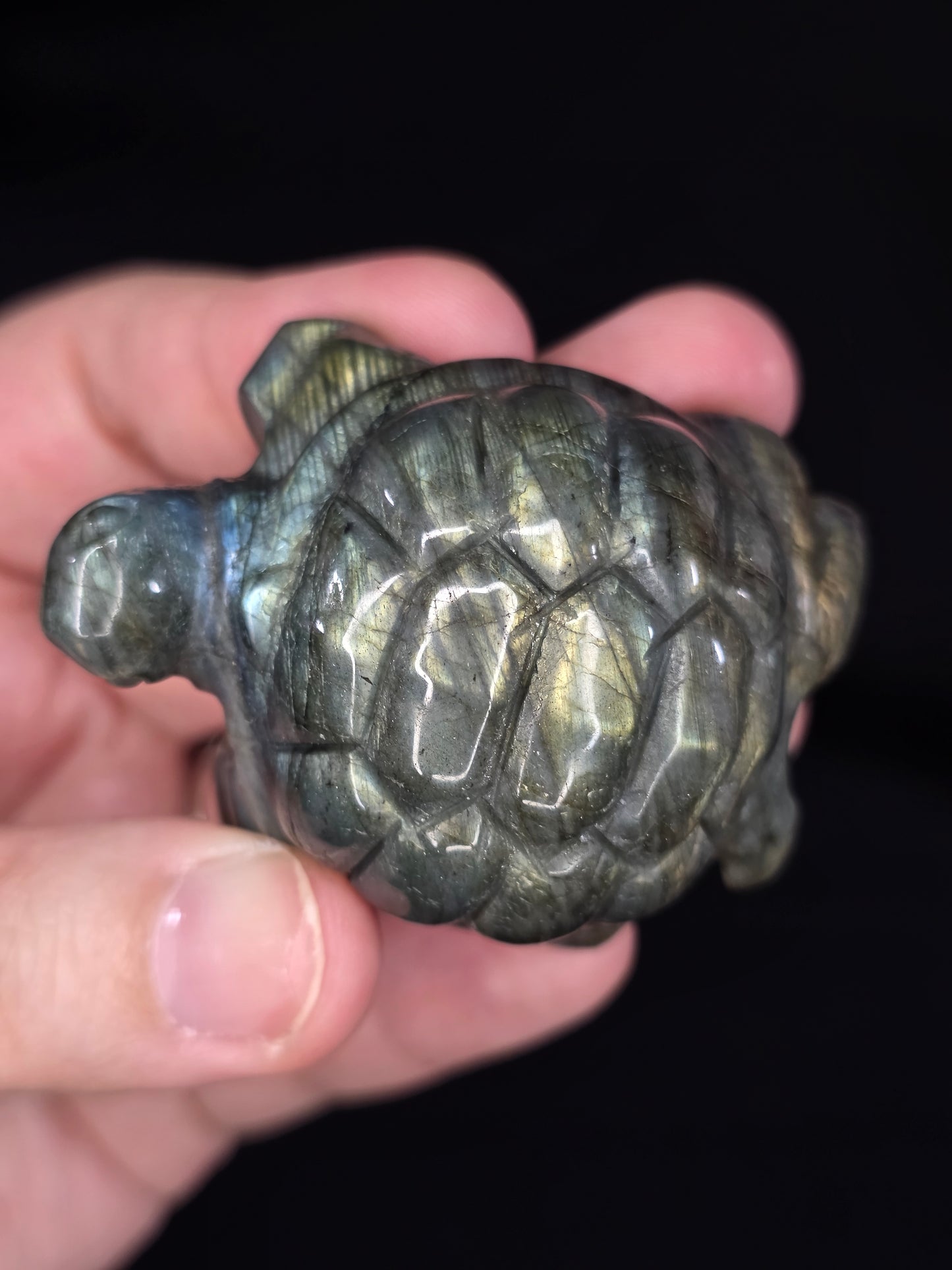 Labradorite Turtle Carving
