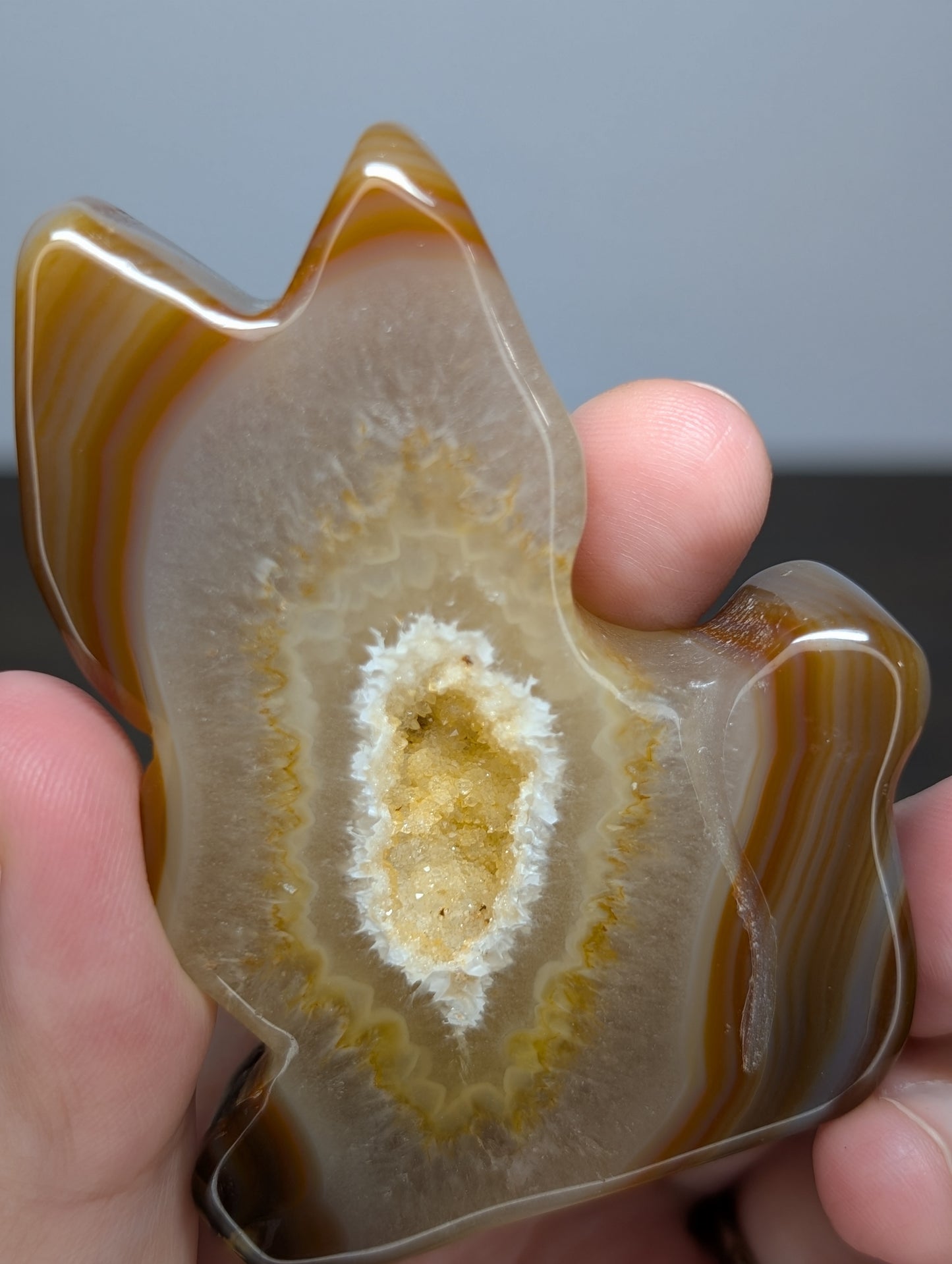 Druzy Agate Cat Carving