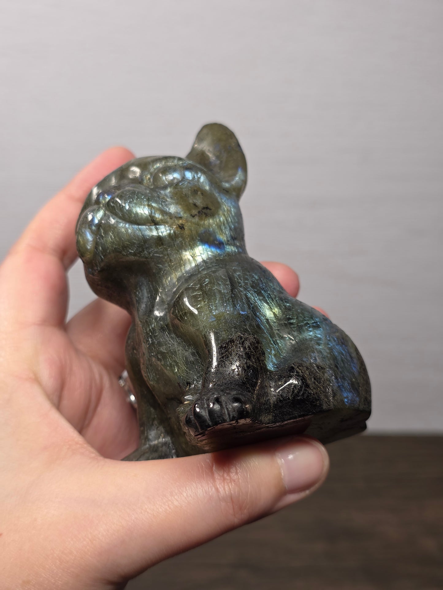 Labradorite Frenchie Carving