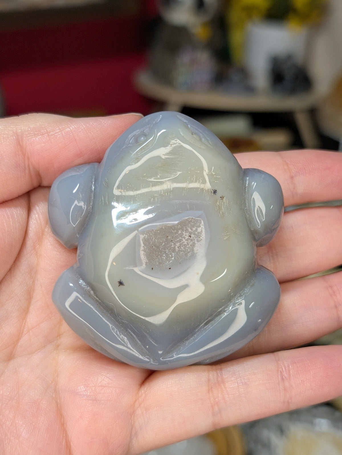 Agate Toad Carving – Gypsy Willow Art