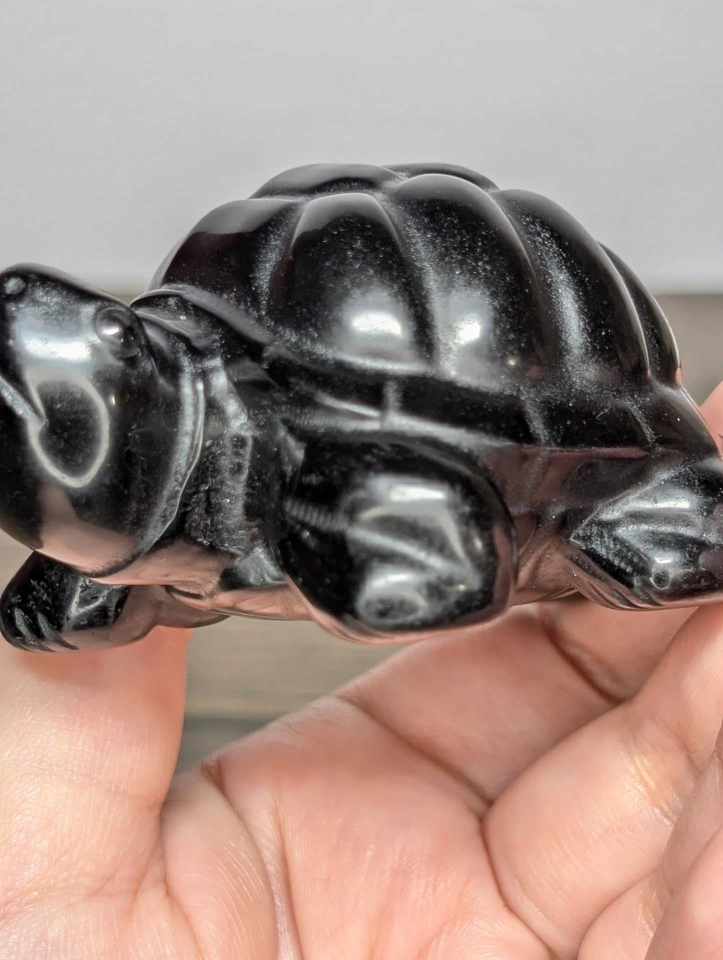 Black Obsidian Turtle Carving
