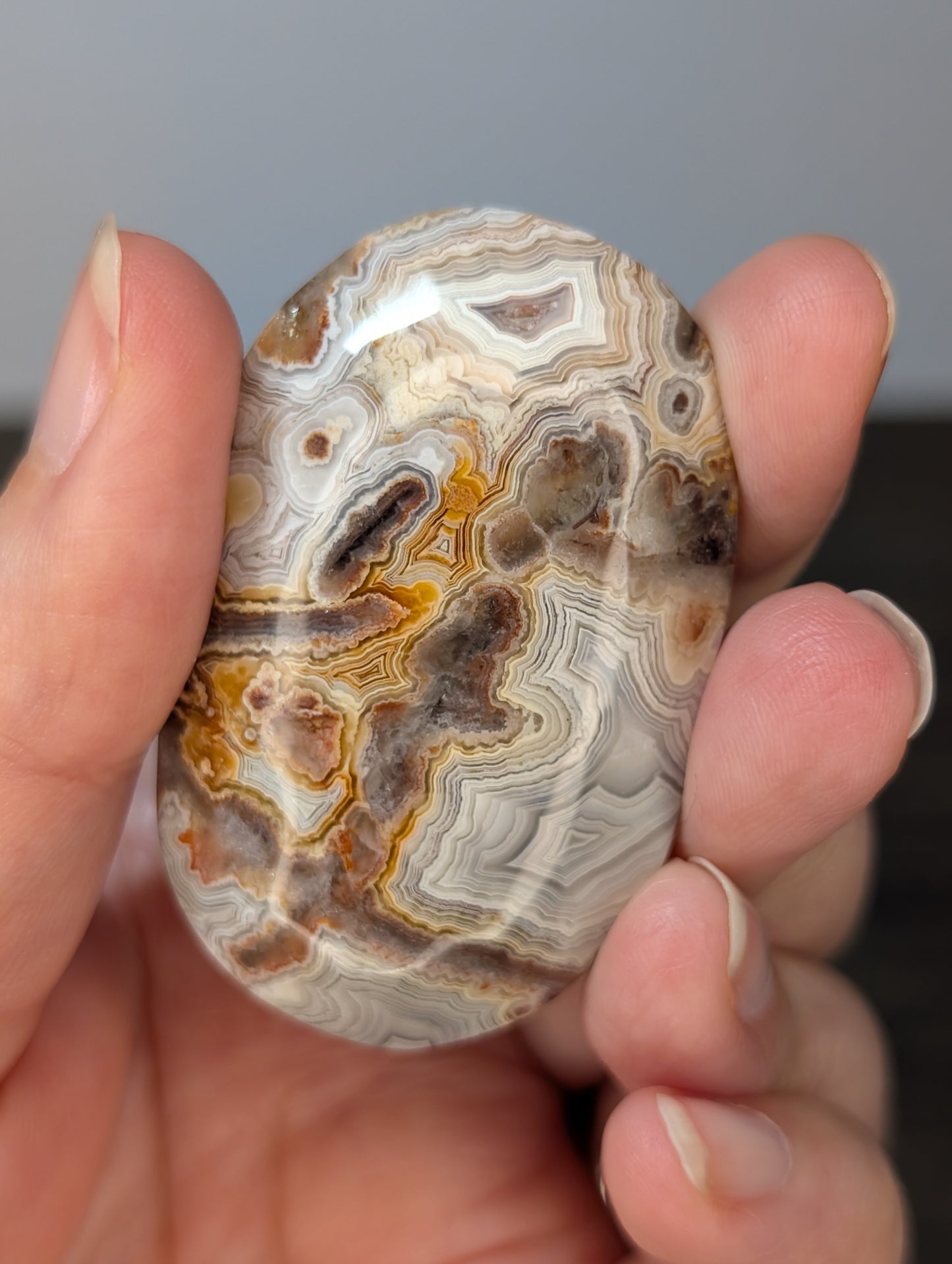 Red Mexican Crazy Lace Agate Palm Stone