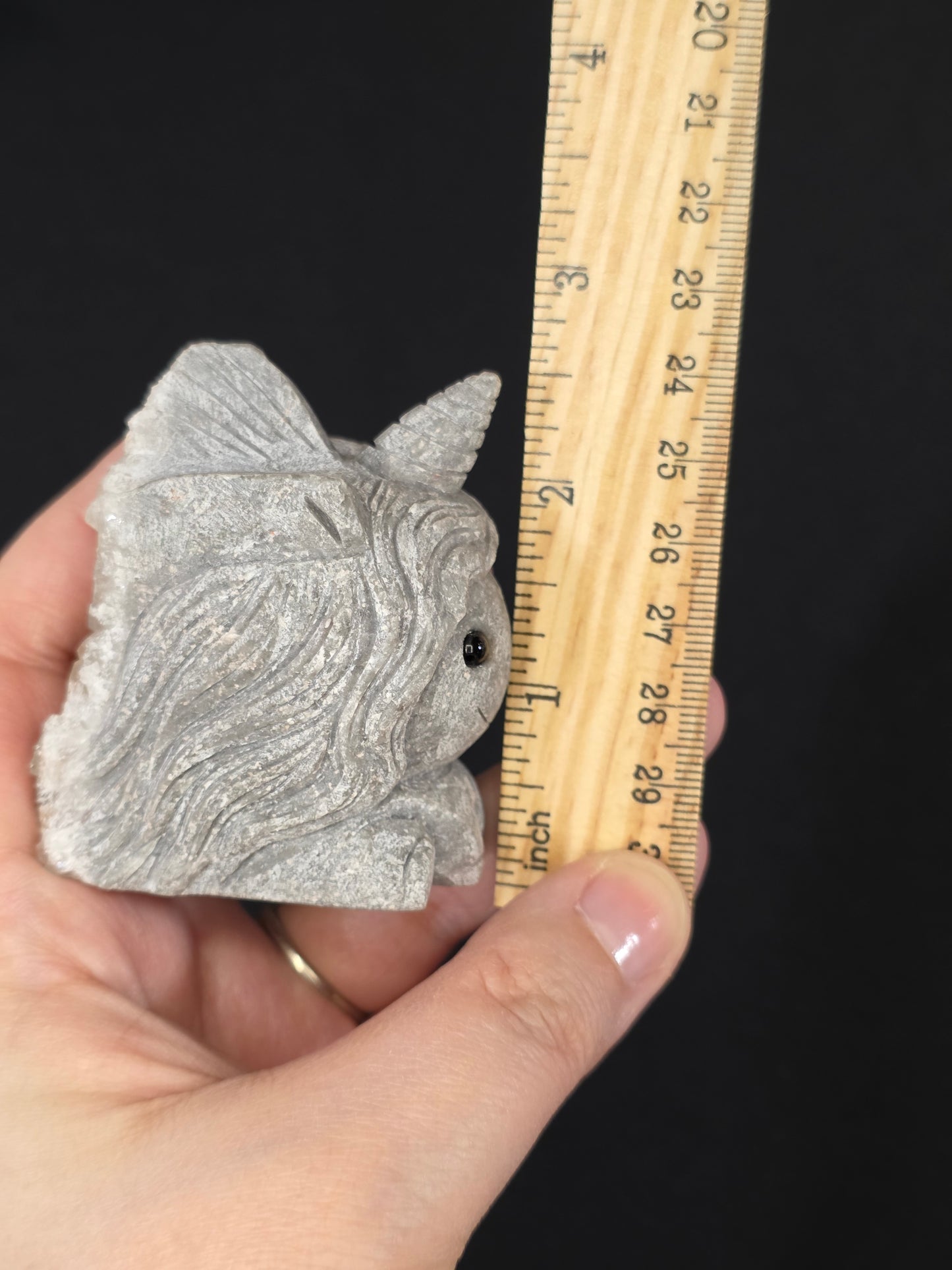 Pet Rock Unicorn Carving