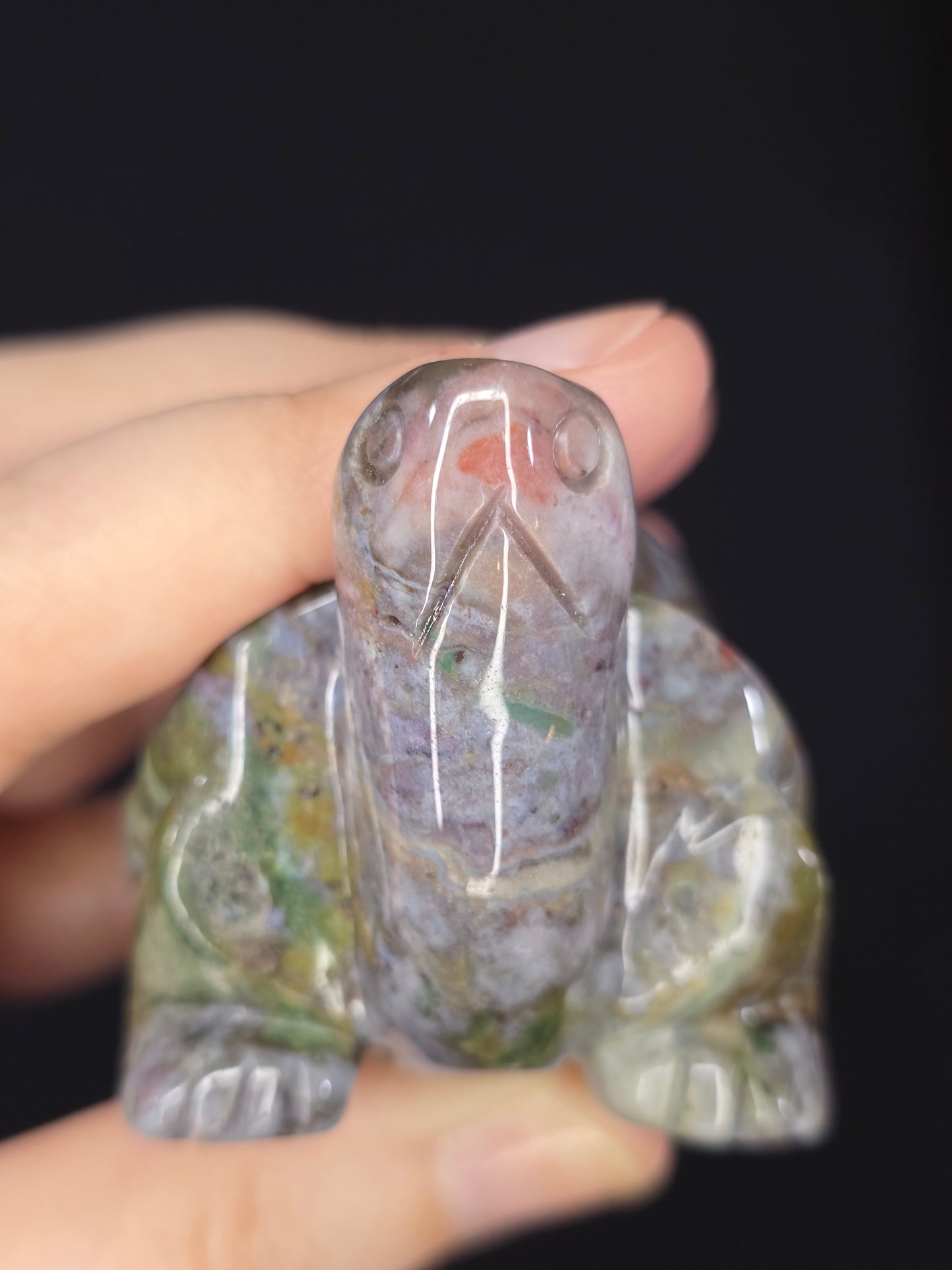 Sea Jasper Turtle Carving