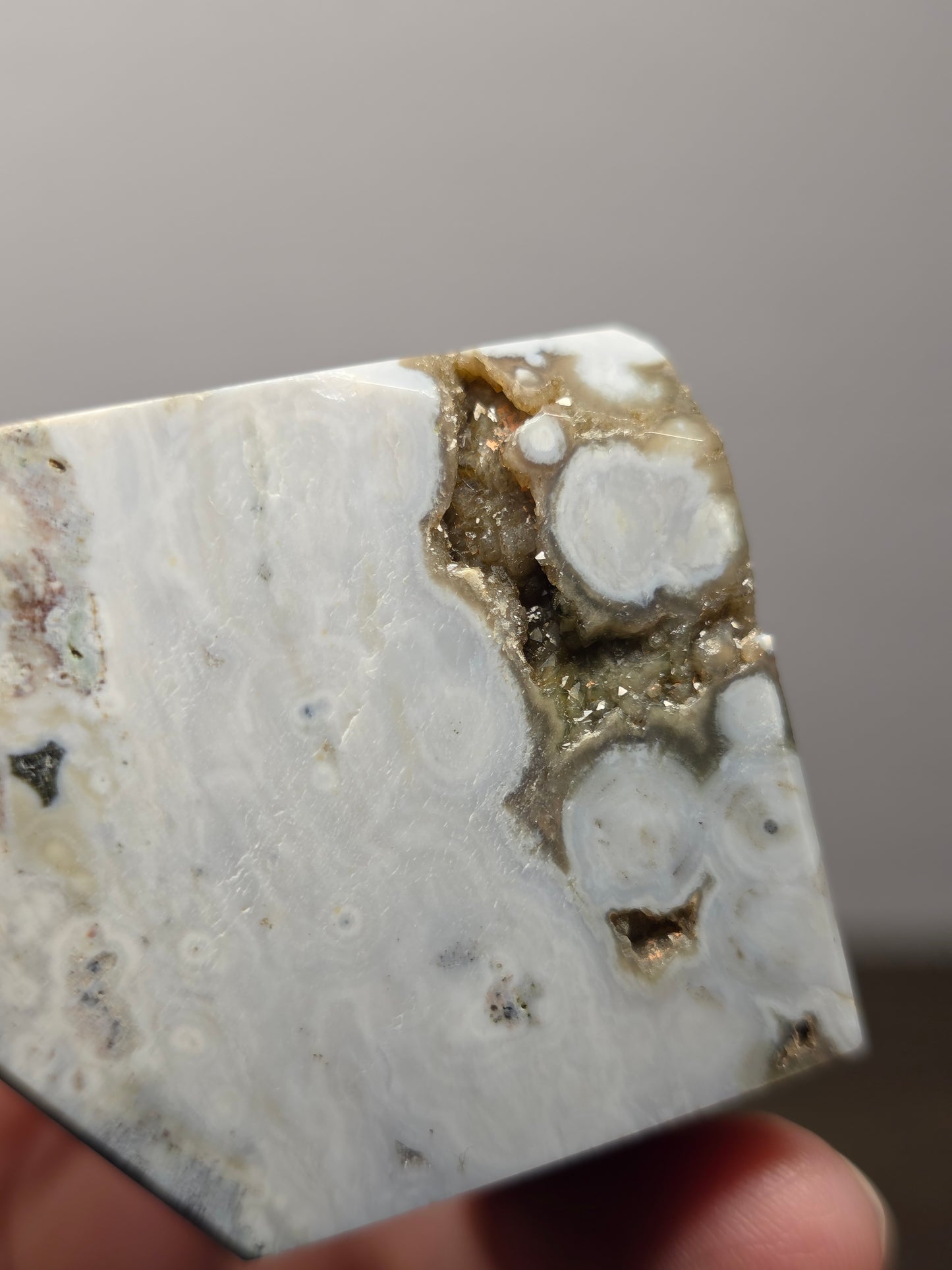 Orbicular Jasper Freeform