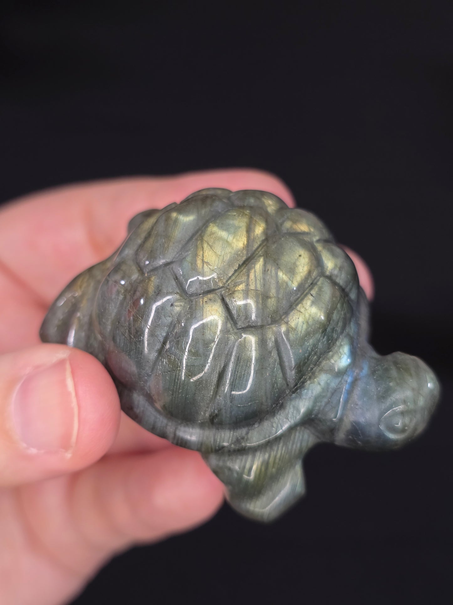 Labradorite Turtle Carving