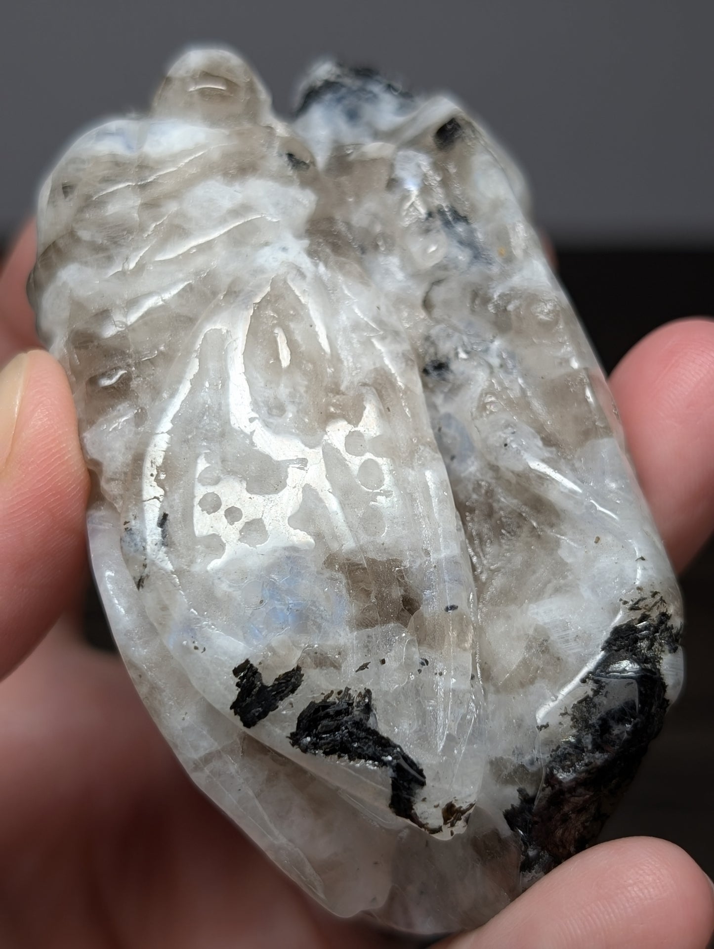 Rainbow Moonstone Cicada Carving