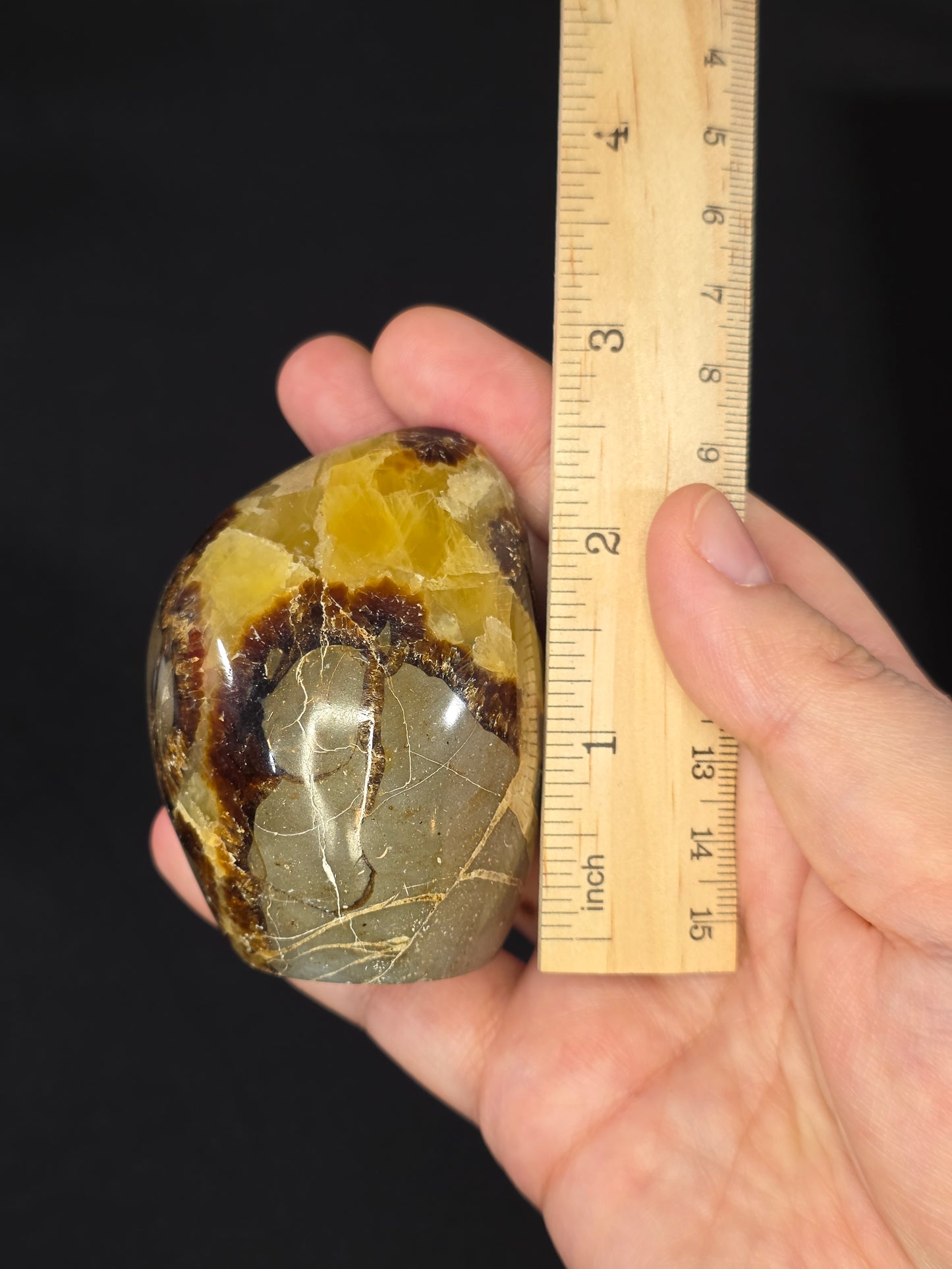 Septarian Freeform