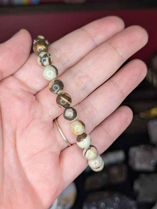Brown Zebra Jasper 8mm Bead Bracelet