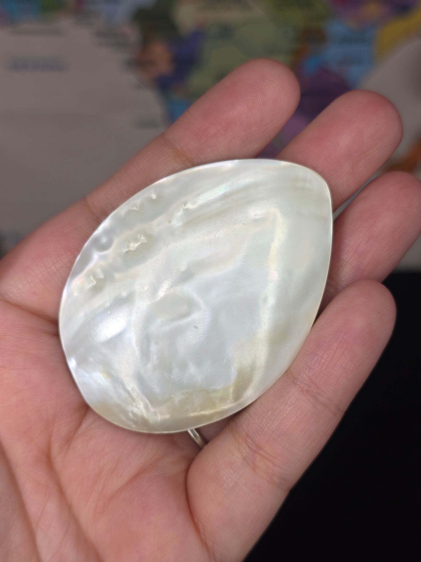 Abalone Shell x Mother of Pearl Palm Stone