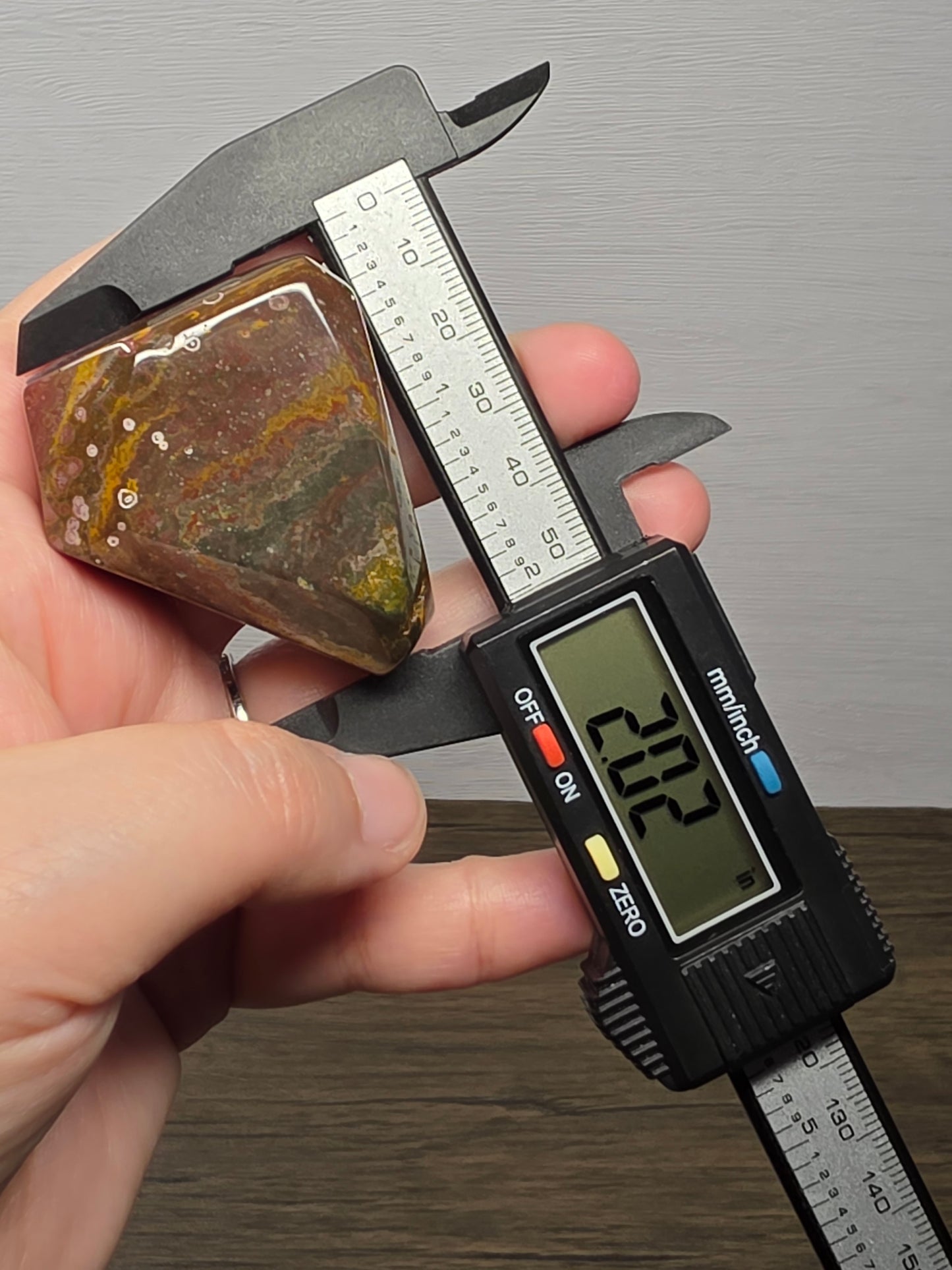 Orbicular Jasper Freeform