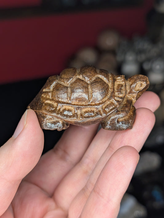 Wooden Turtle Carving