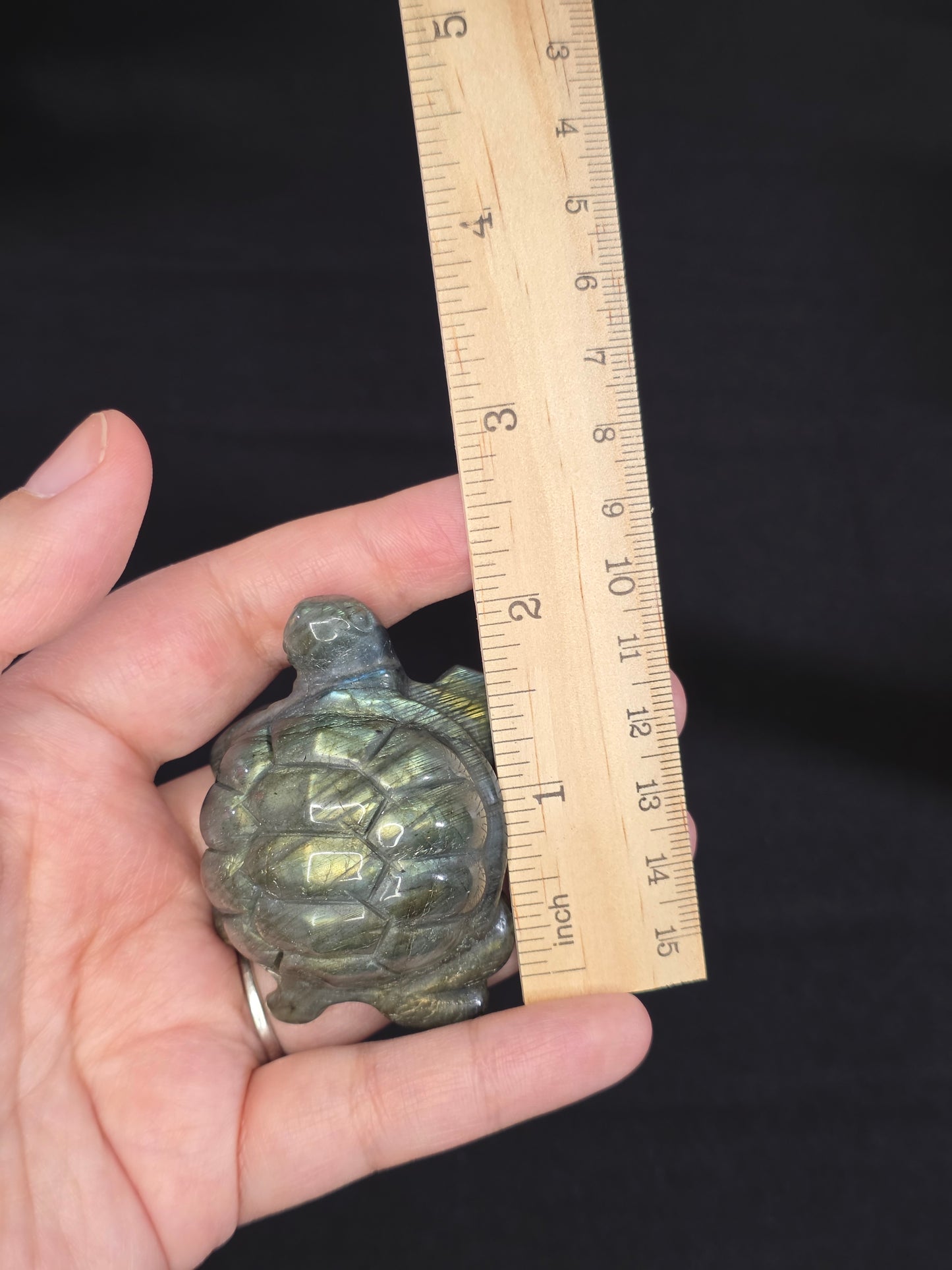 Labradorite Turtle Carving