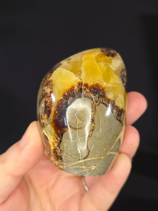 Septarian Freeform