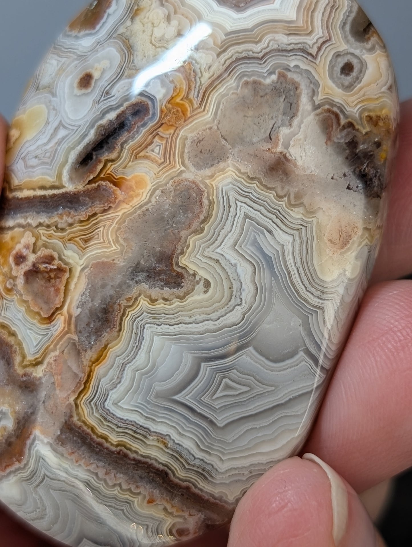 Red Mexican Crazy Lace Agate Palm Stone
