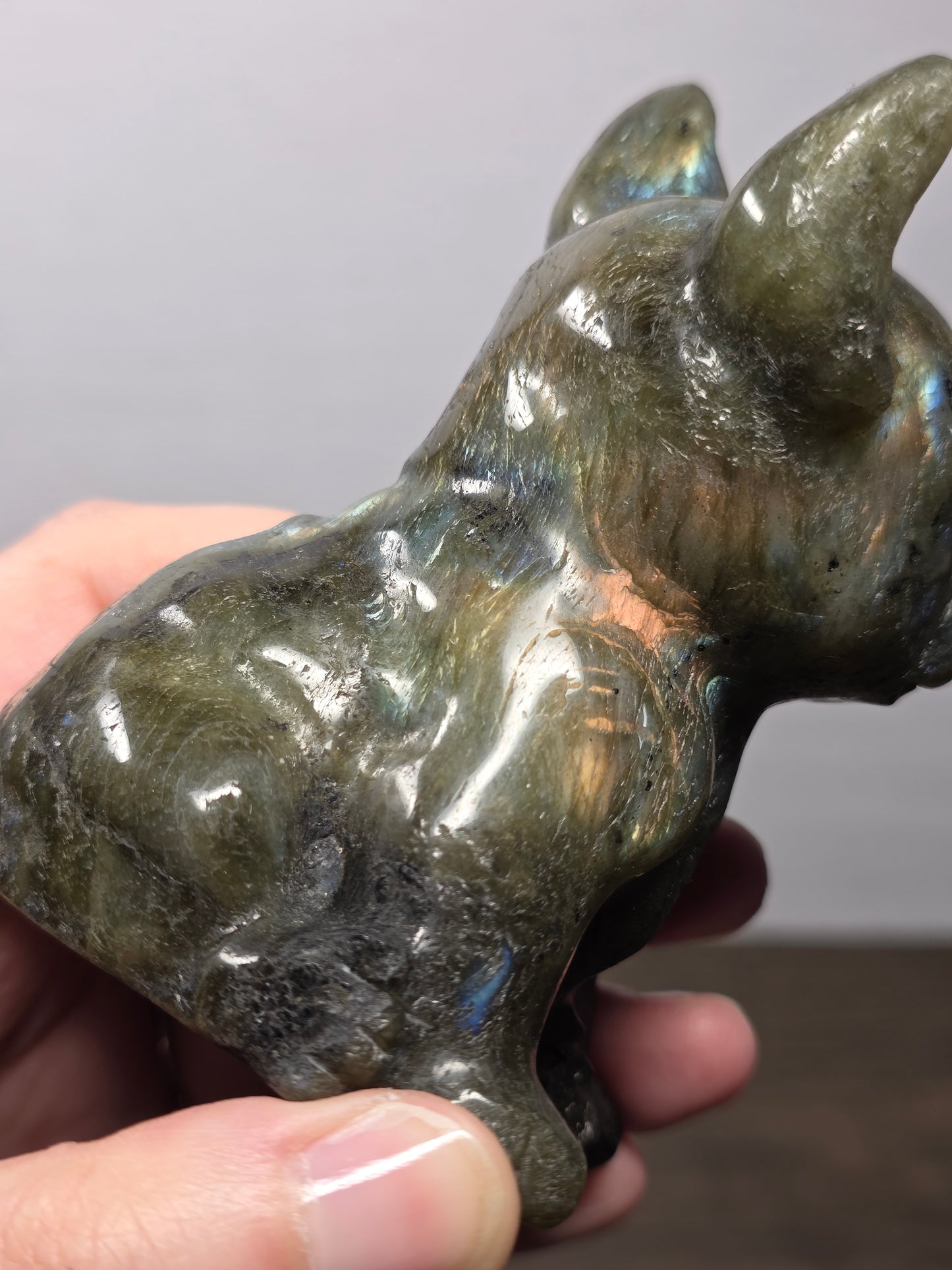 Labradorite Frenchie Carving