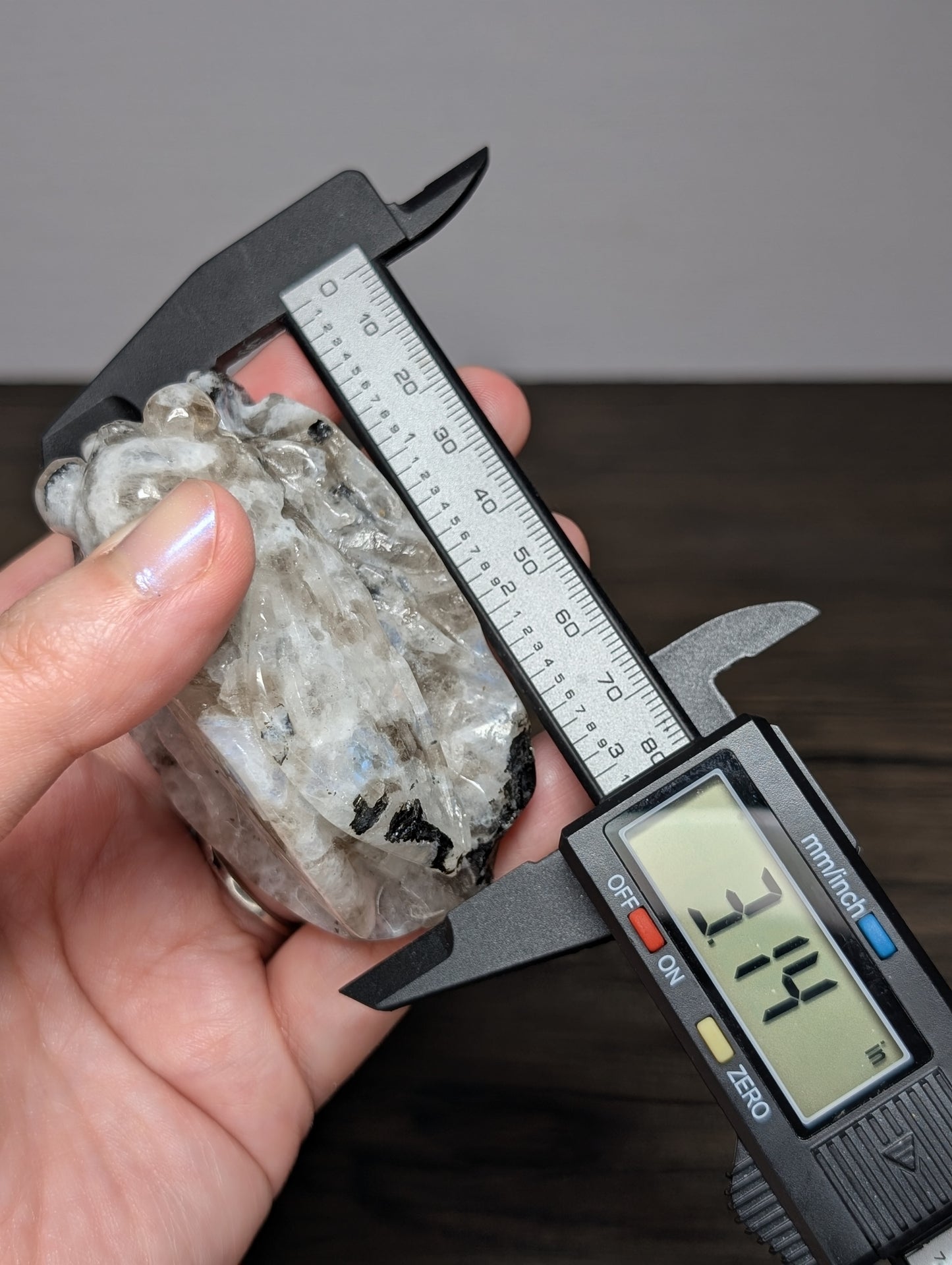 Rainbow Moonstone Cicada Carving