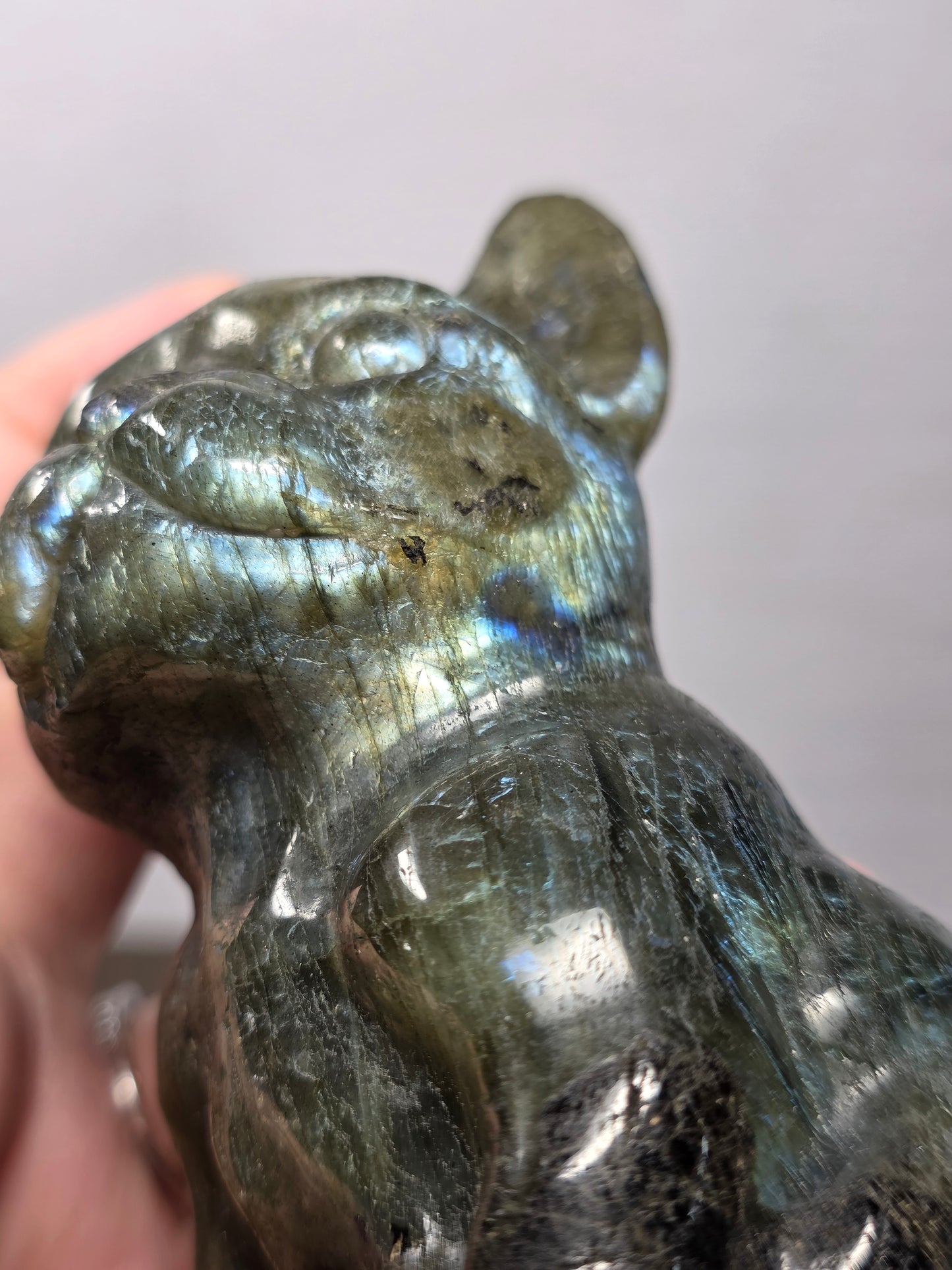 Labradorite Frenchie Carving