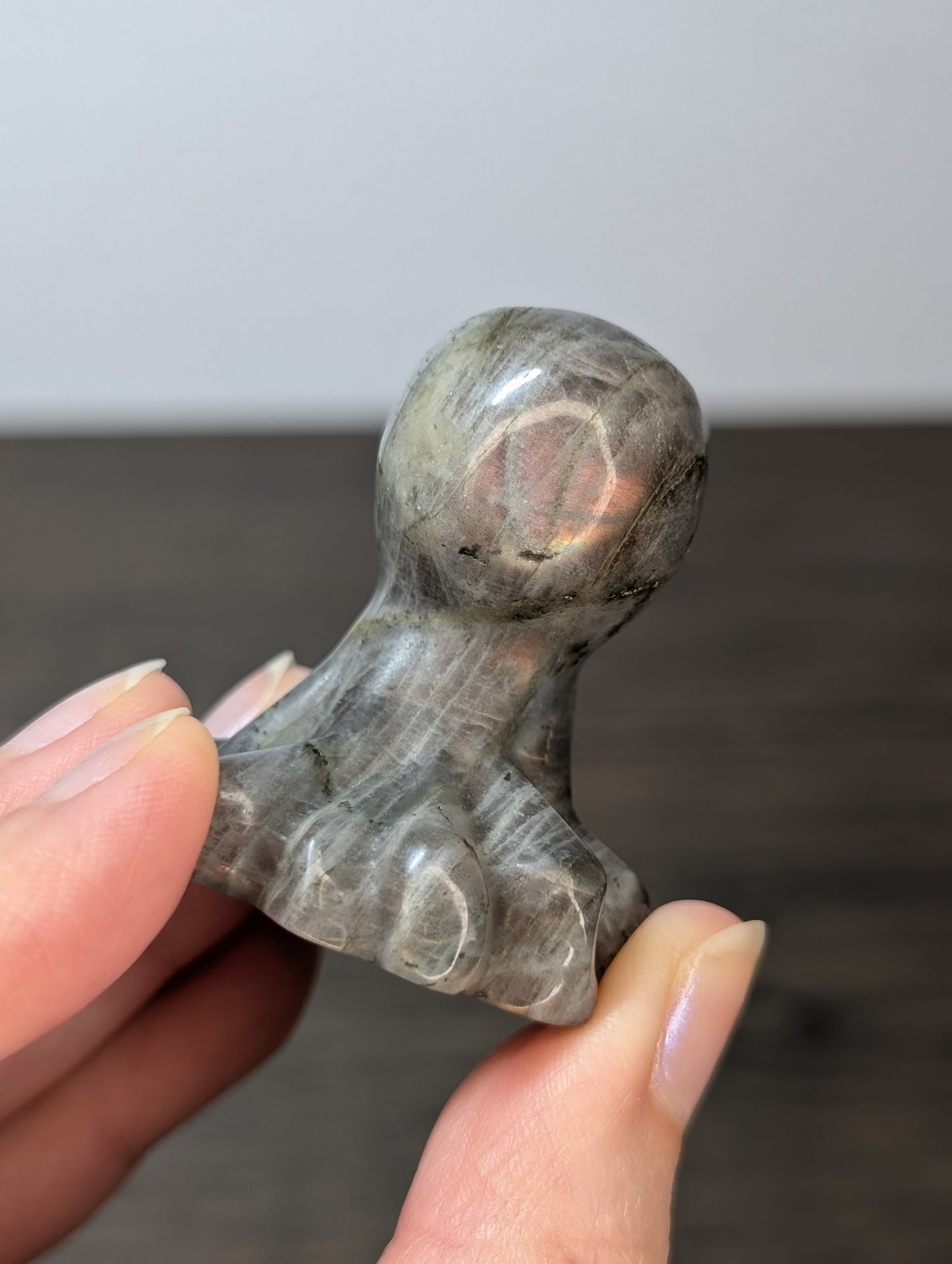 Labradorite Octopus Carving