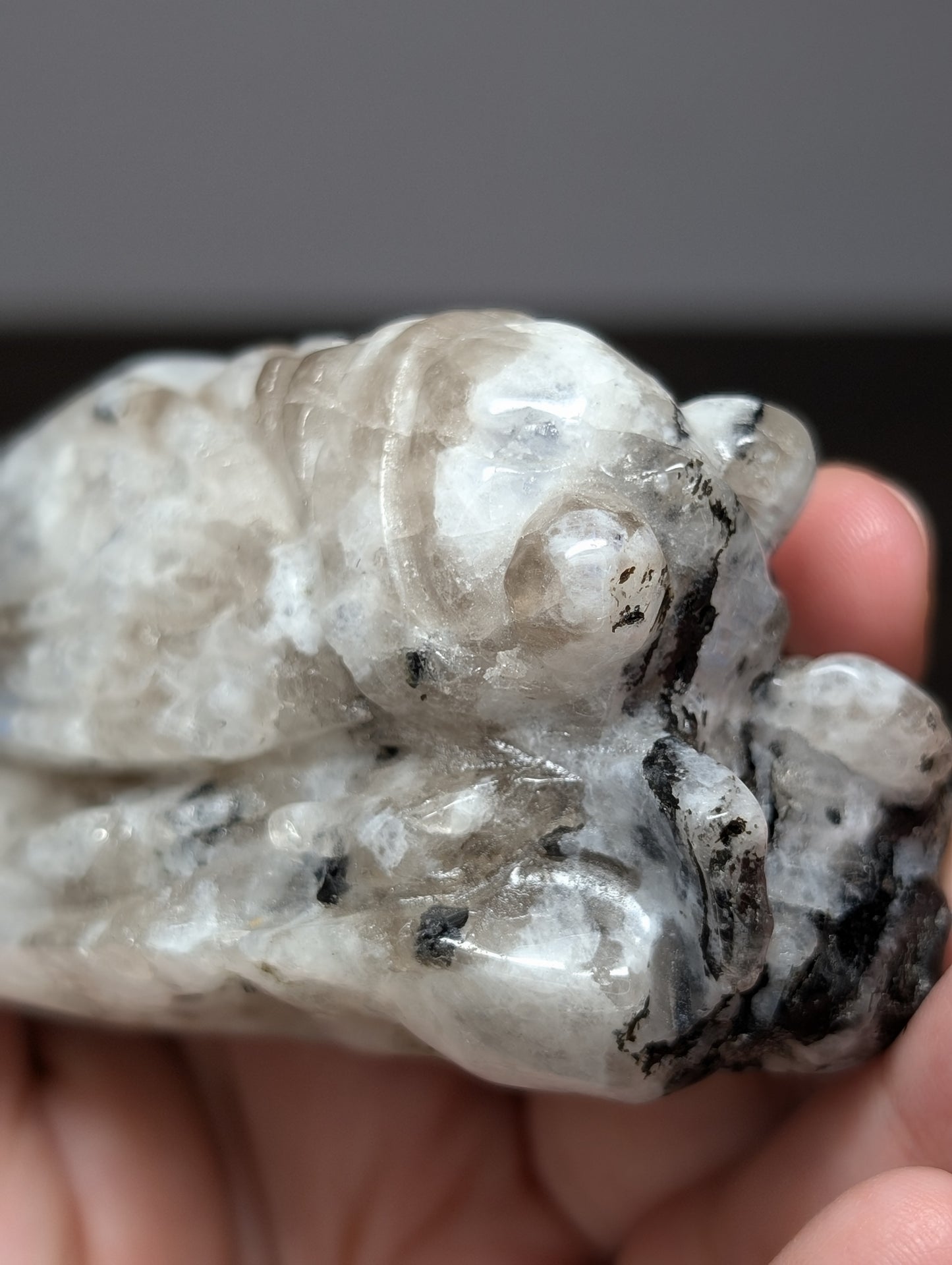 Rainbow Moonstone Cicada Carving