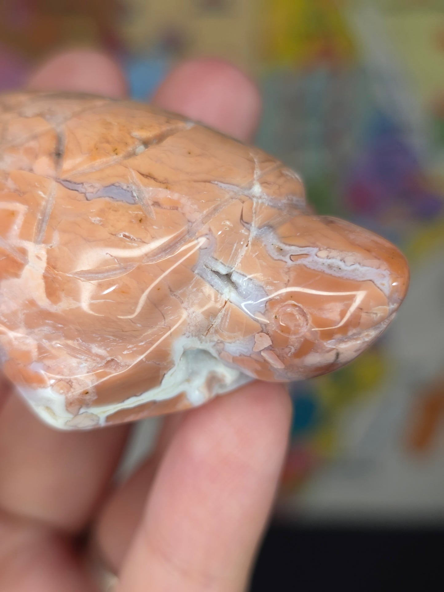 Cotton Candy Agate Turtle Carving