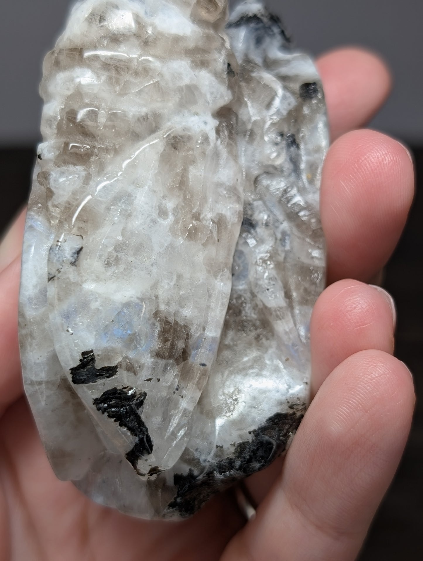 Rainbow Moonstone Cicada Carving