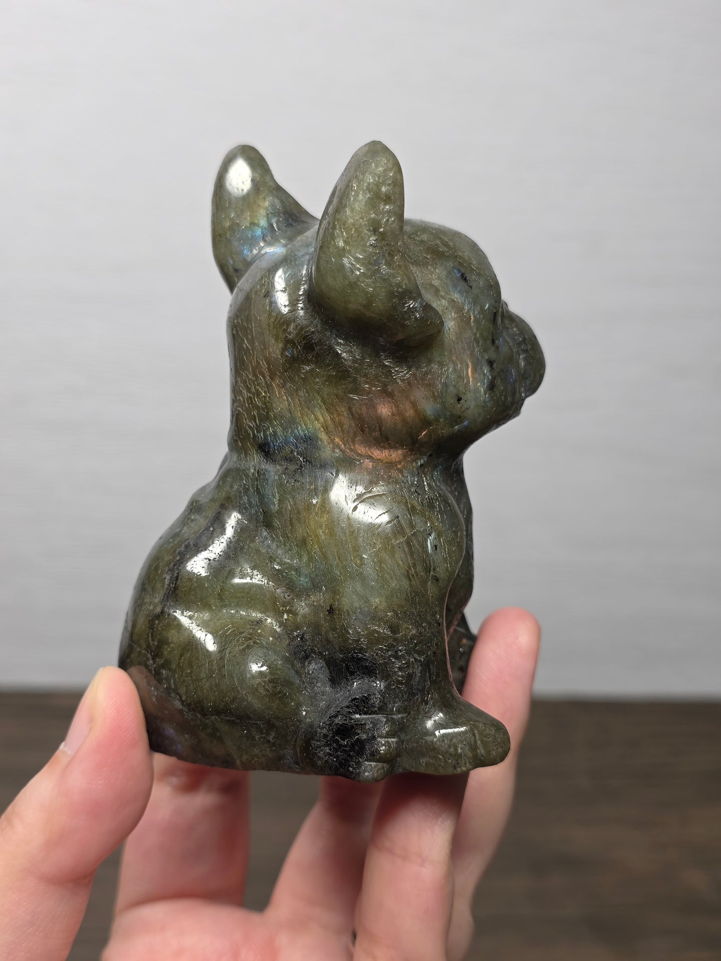 Labradorite Frenchie Carving