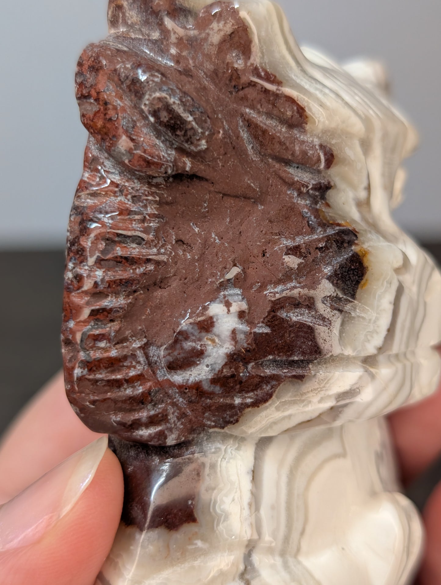 Red Mexican Crazy Lace Agate Meditating Dragon Carving