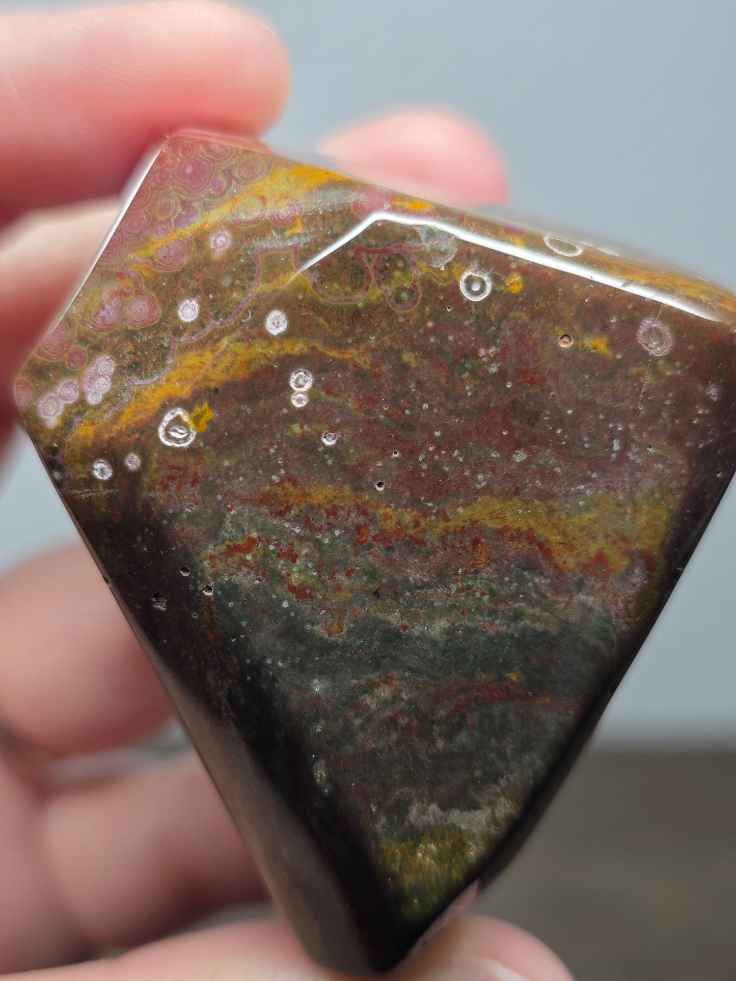 Orbicular Jasper Freeform
