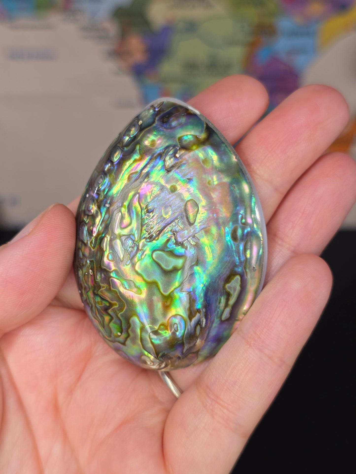Abalone Shell x Mother of Pearl Palm Stone