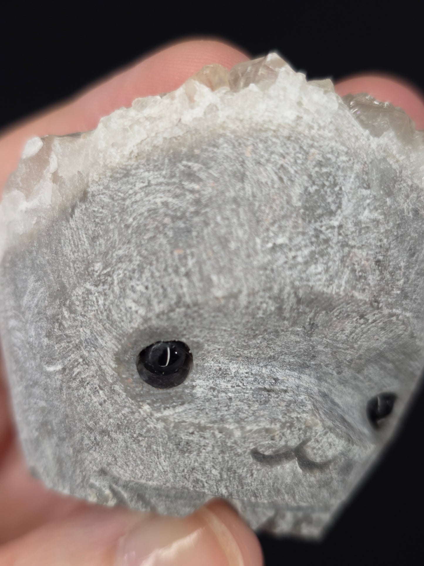 Pet Rock Hedgie Carving