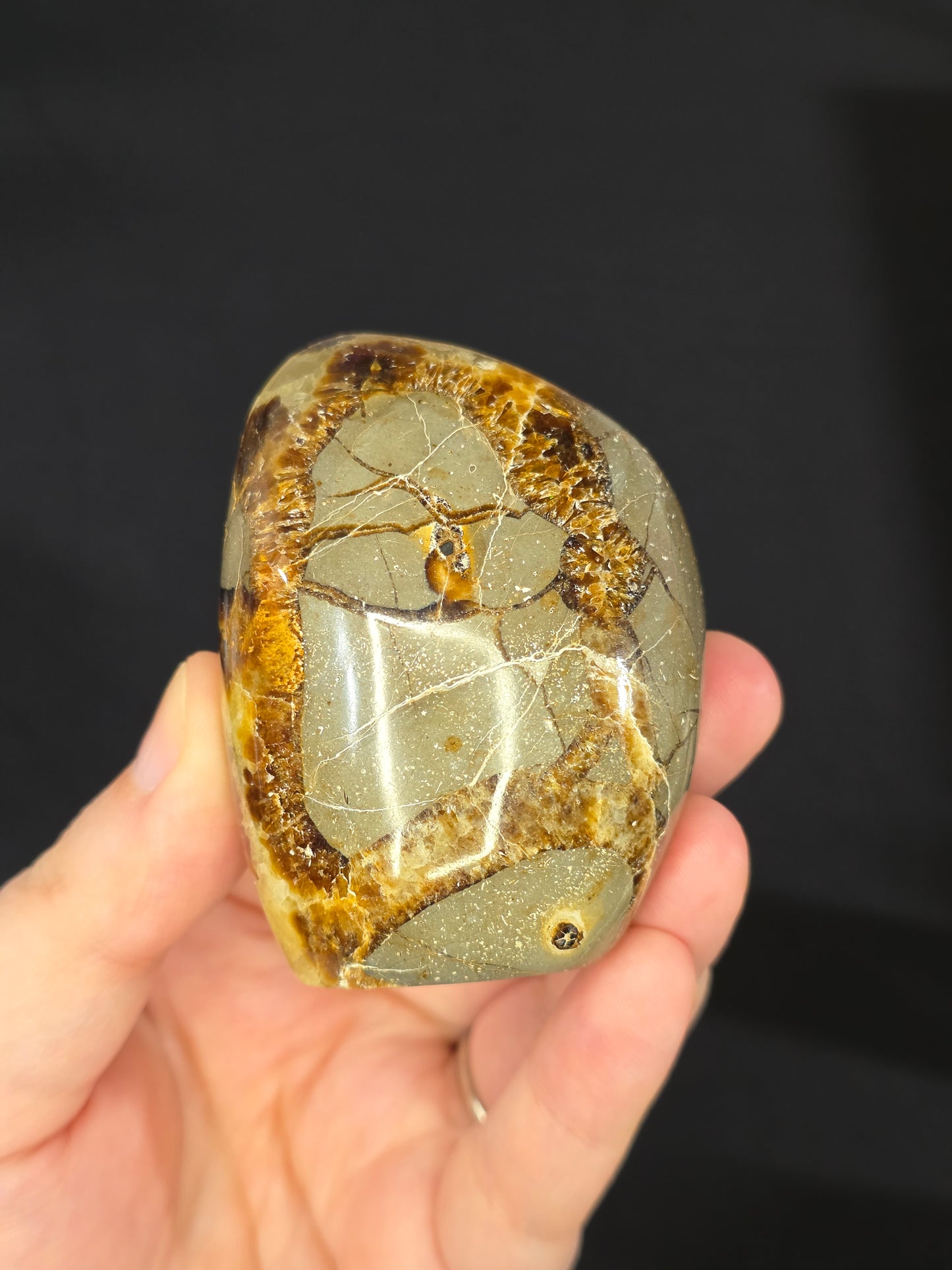 Septarian Freeform