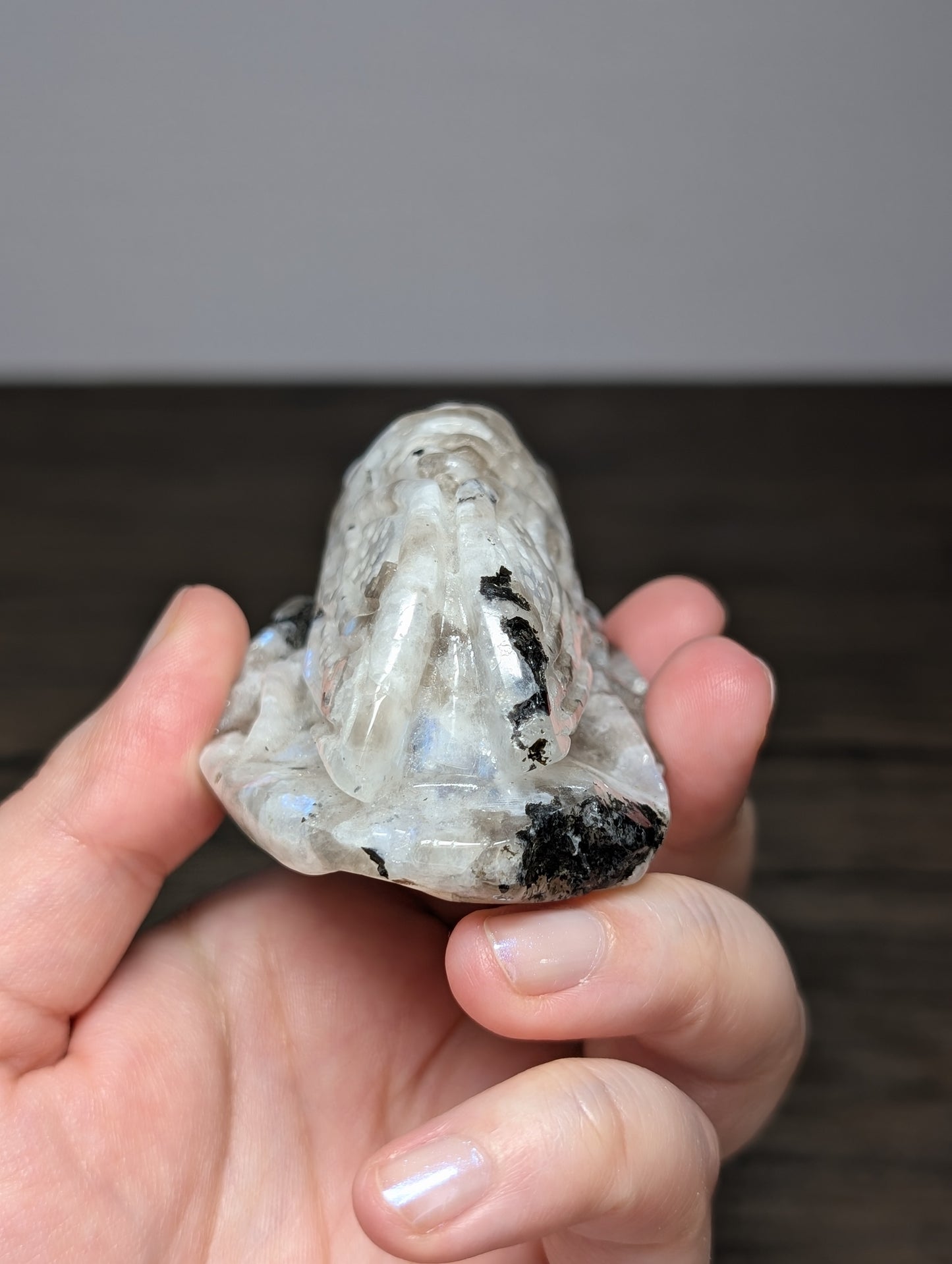 Rainbow Moonstone Cicada Carving