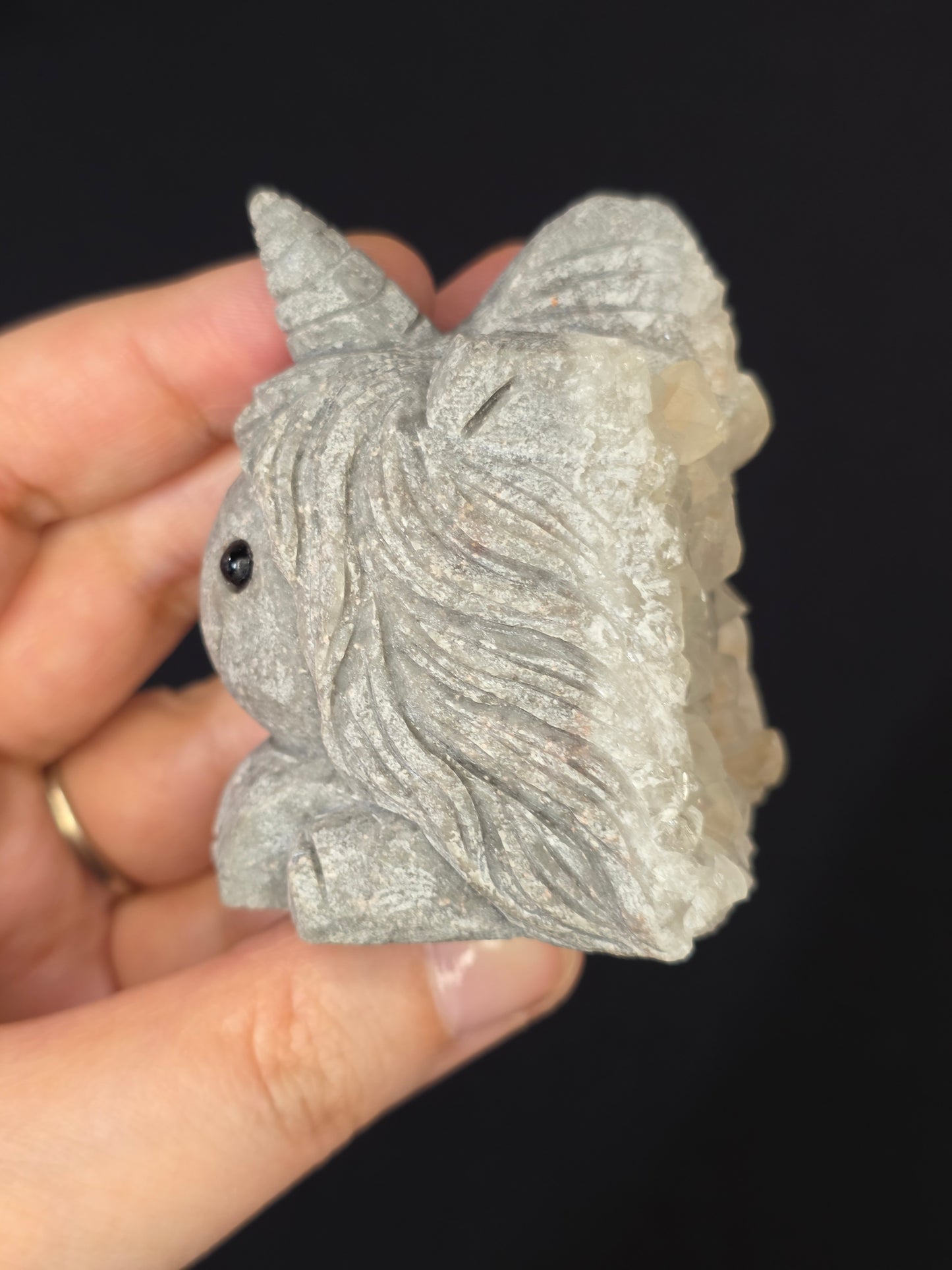 Pet Rock Unicorn Carving