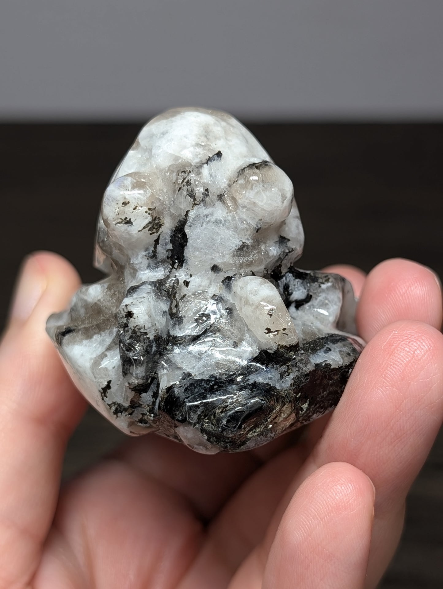 Rainbow Moonstone Cicada Carving