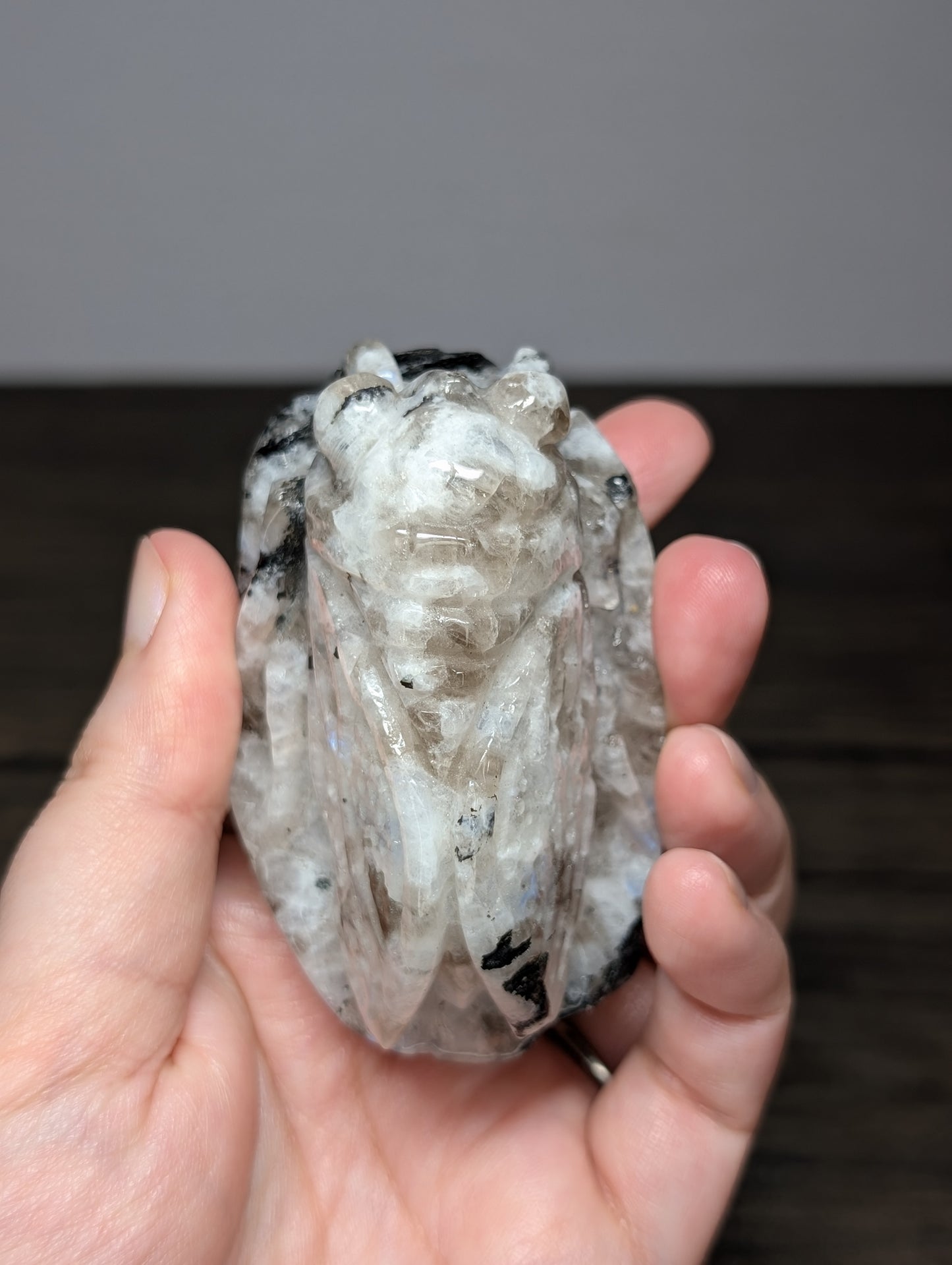 Rainbow Moonstone Cicada Carving