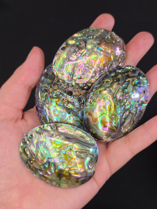 Abalone Shell Palm Stone