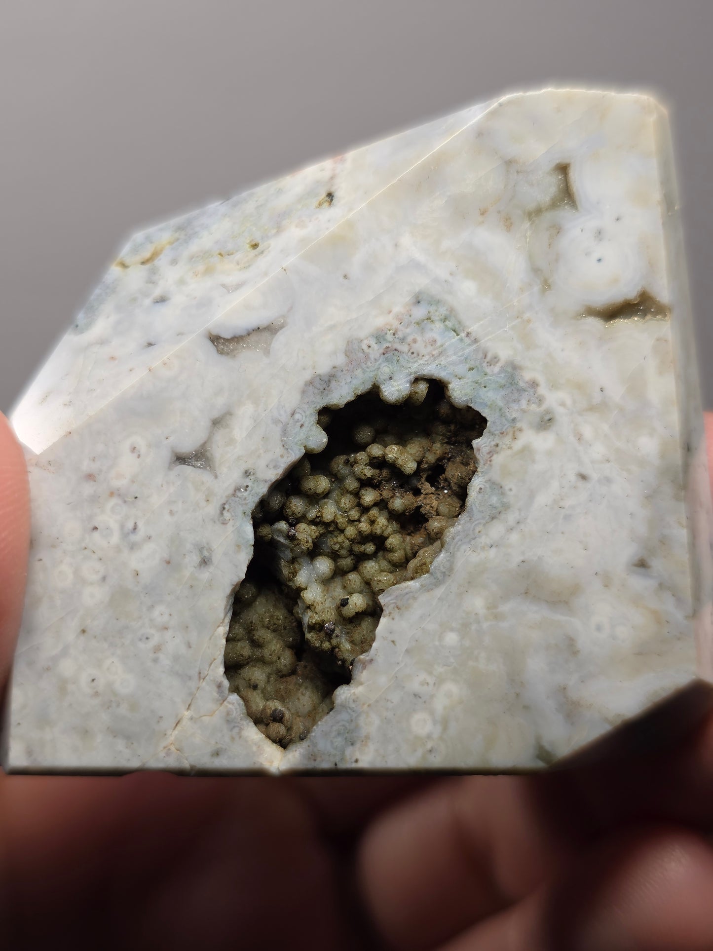 Orbicular Jasper Freeform